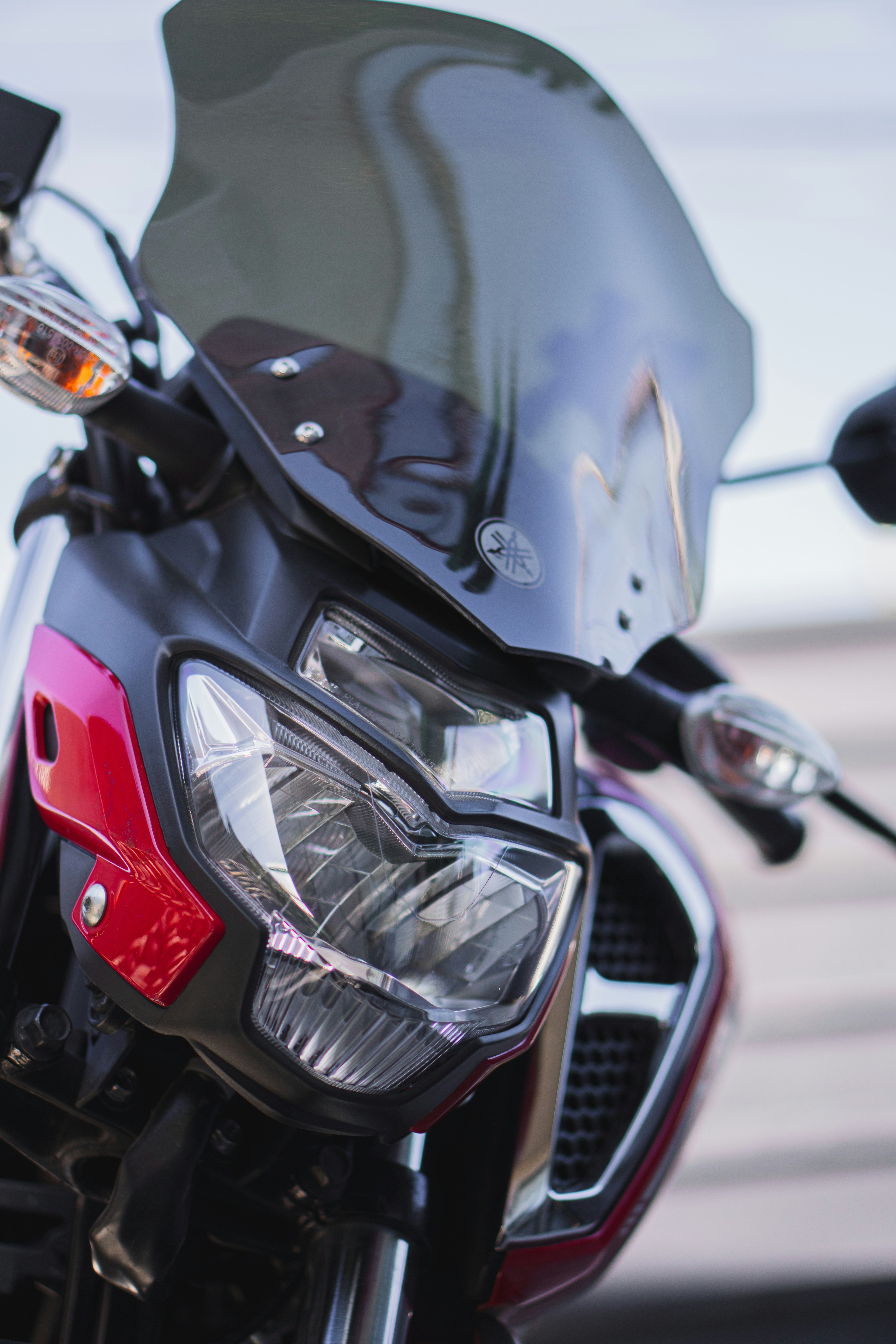 Photo by diegorenatoph