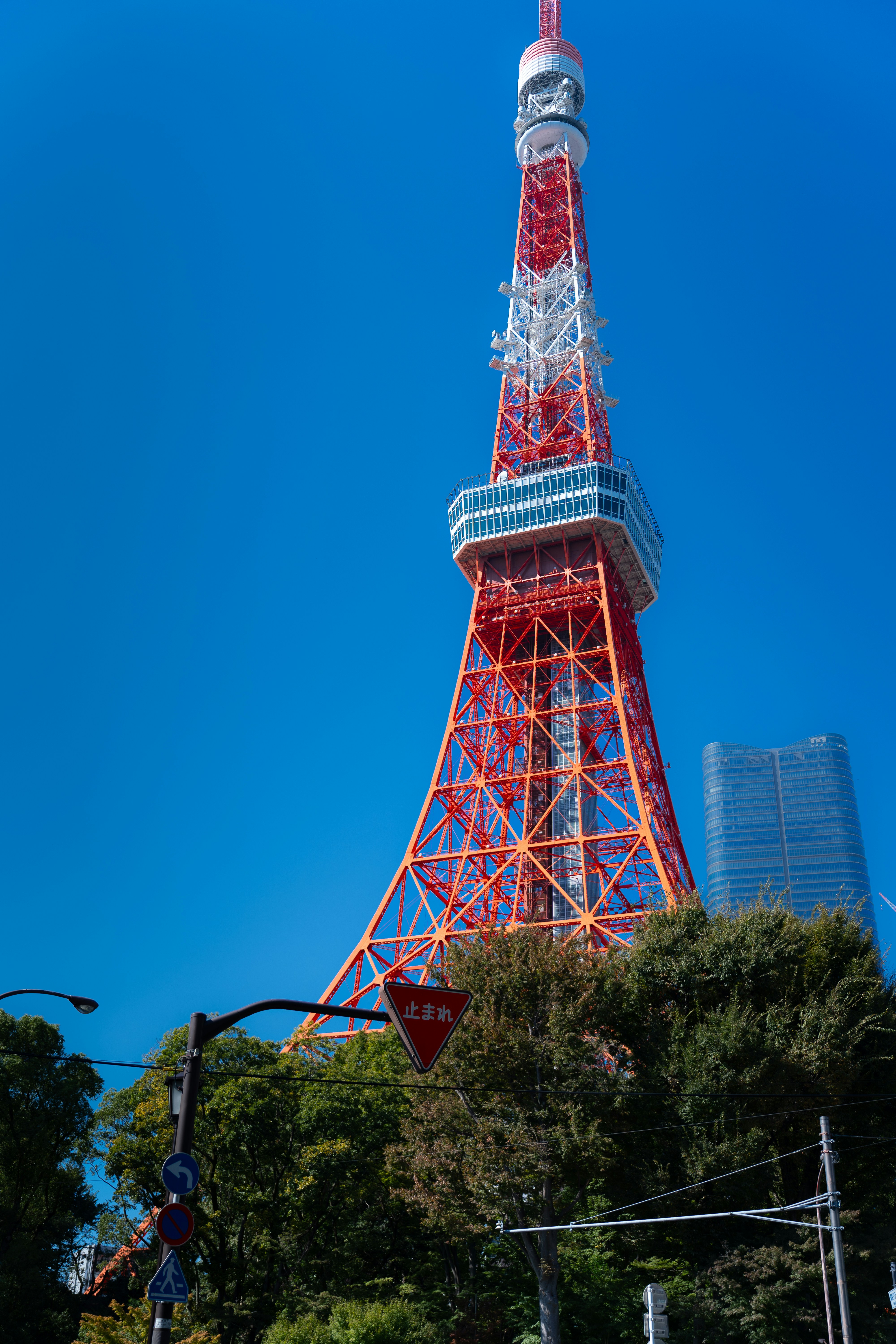 Photo by jivangarcha