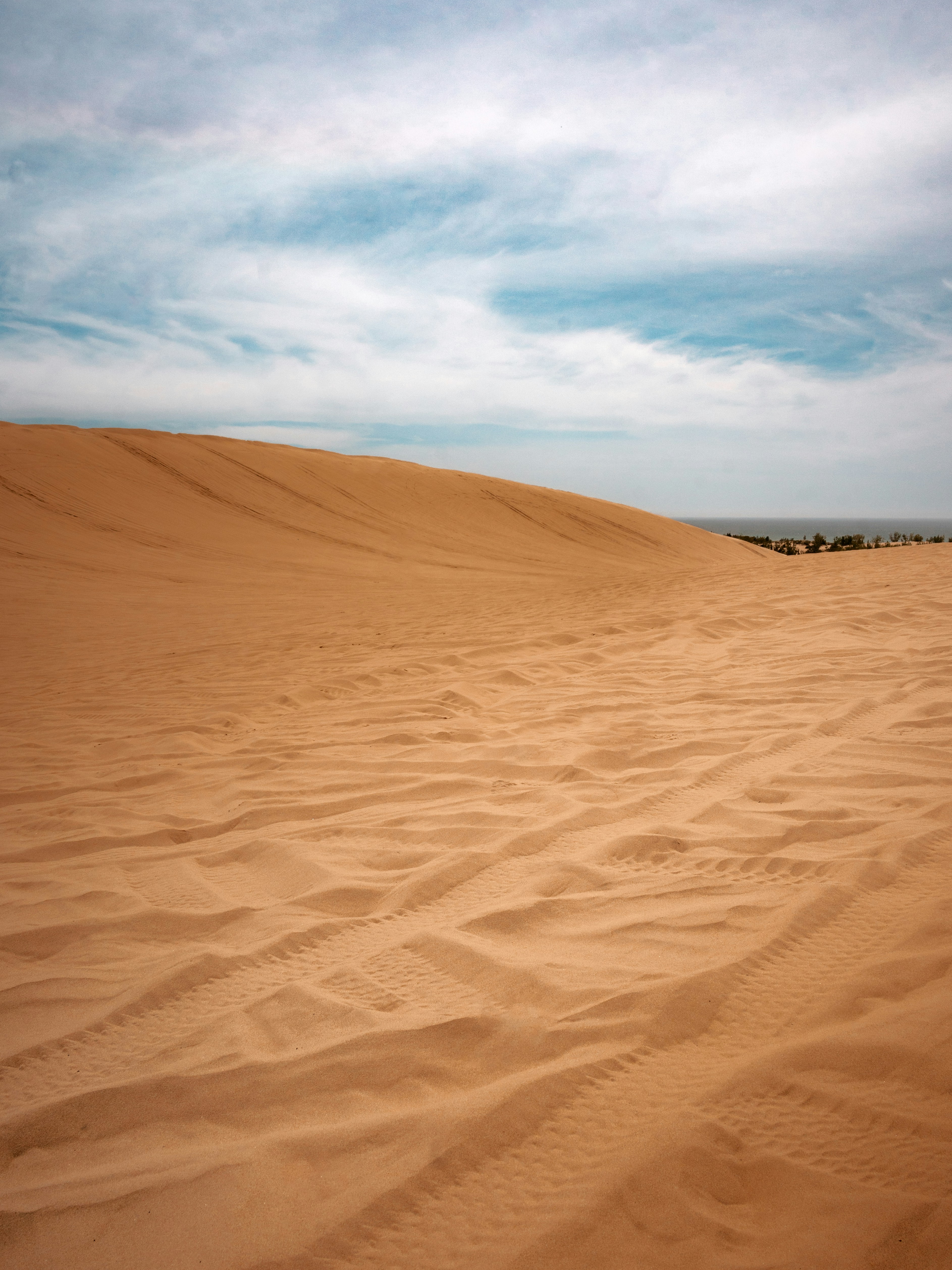 A sandy area with a few tracks in the sand