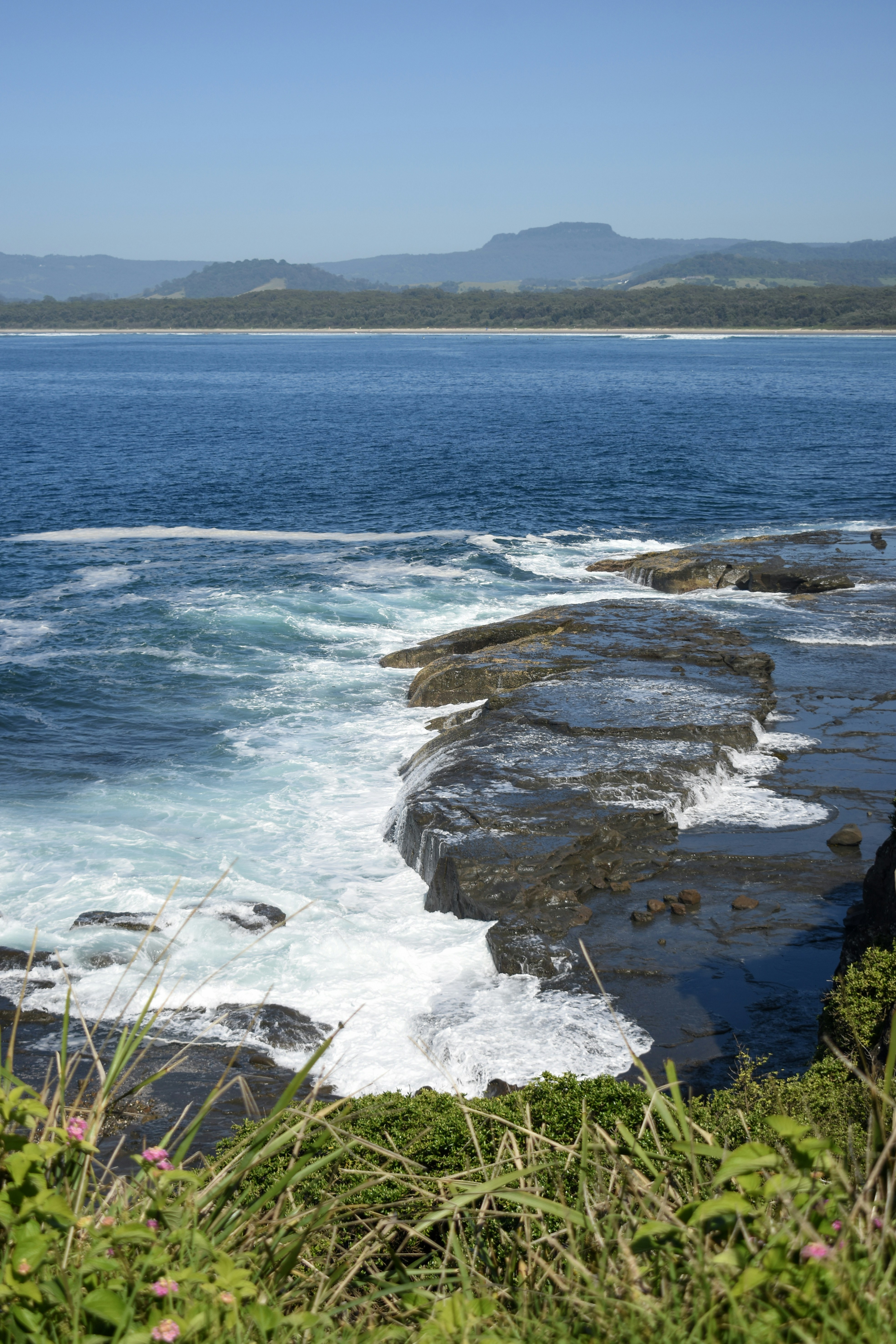 Photo by sneakygoblin036