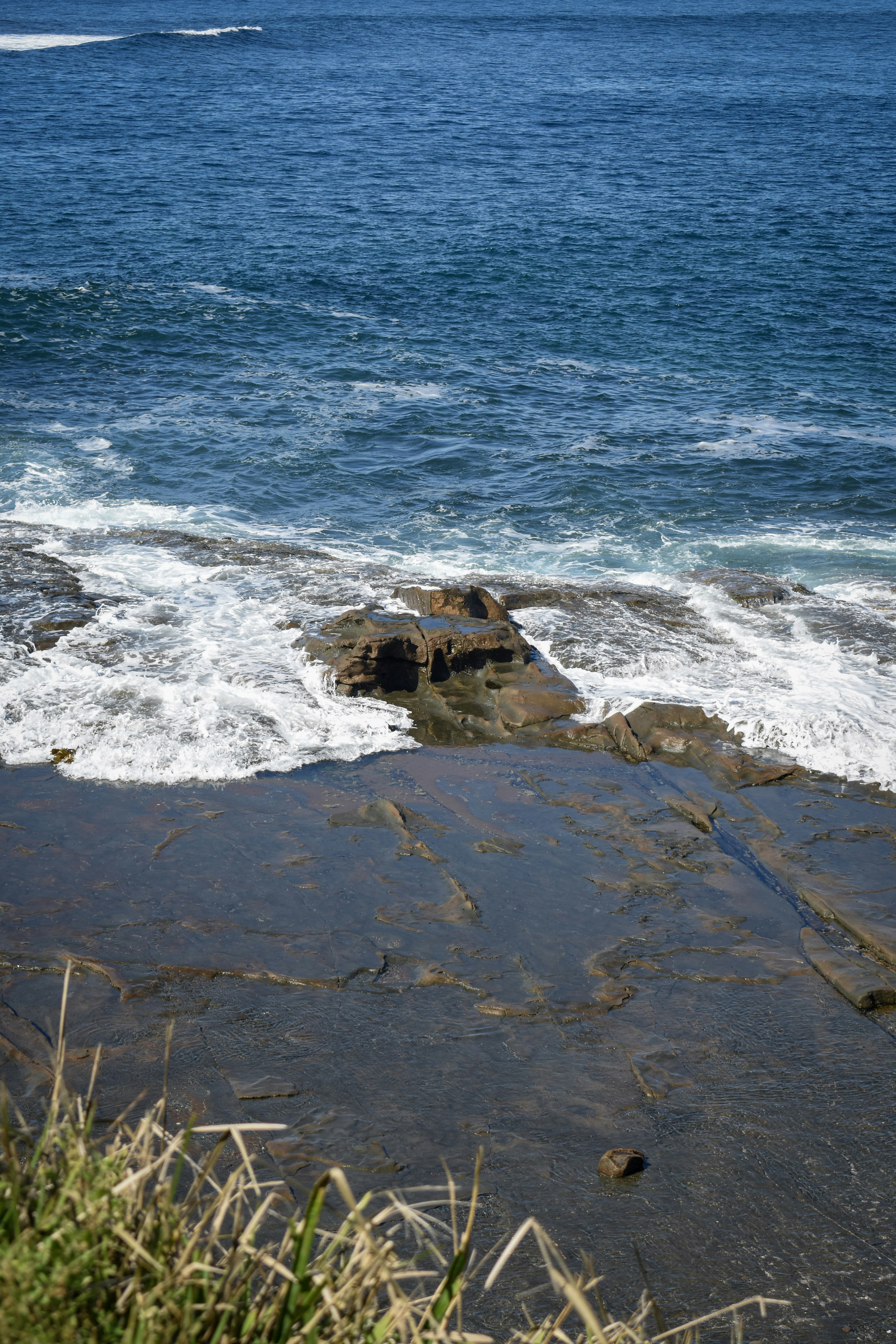 Photo by sneakygoblin036