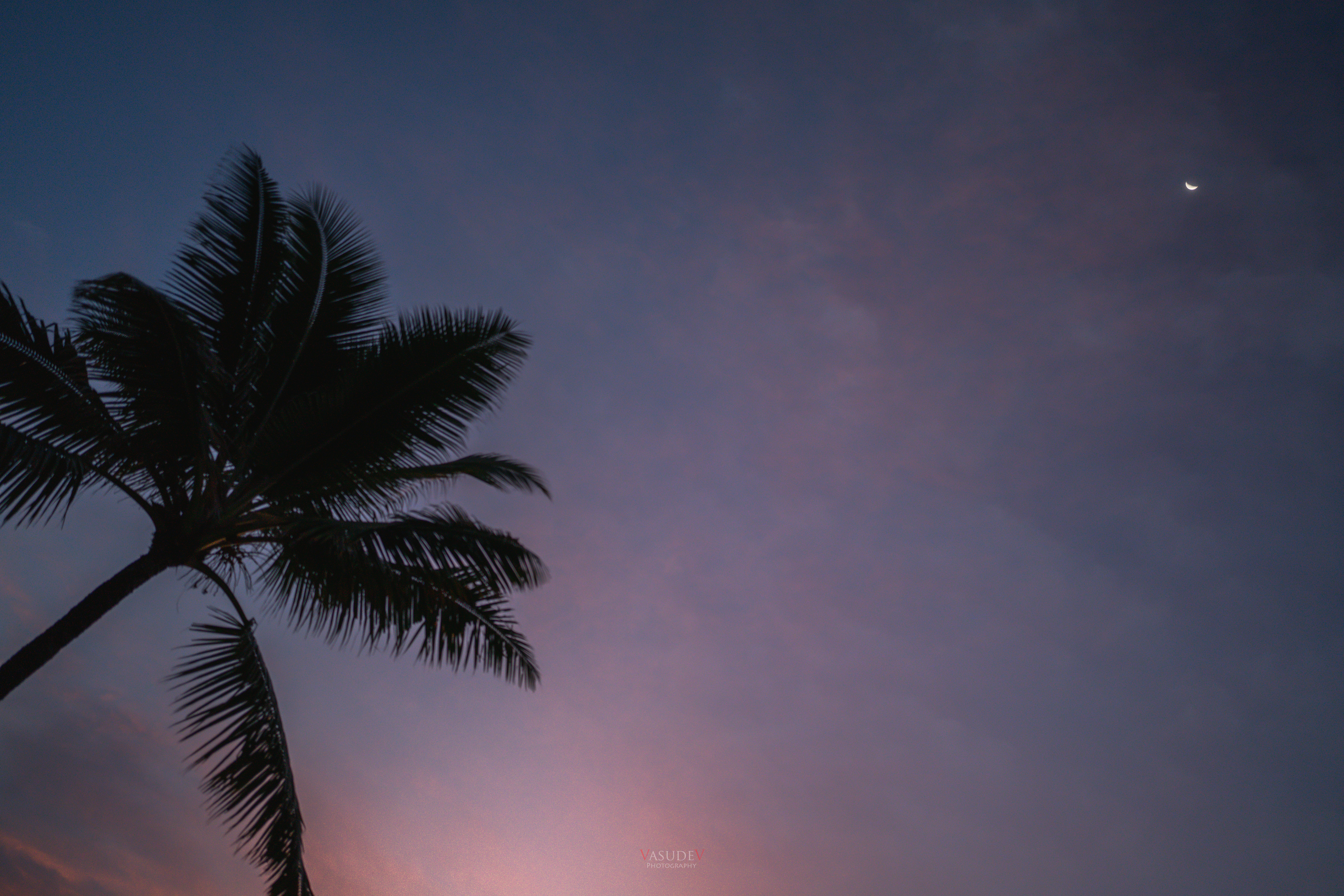 Photo by vasupendyalaa