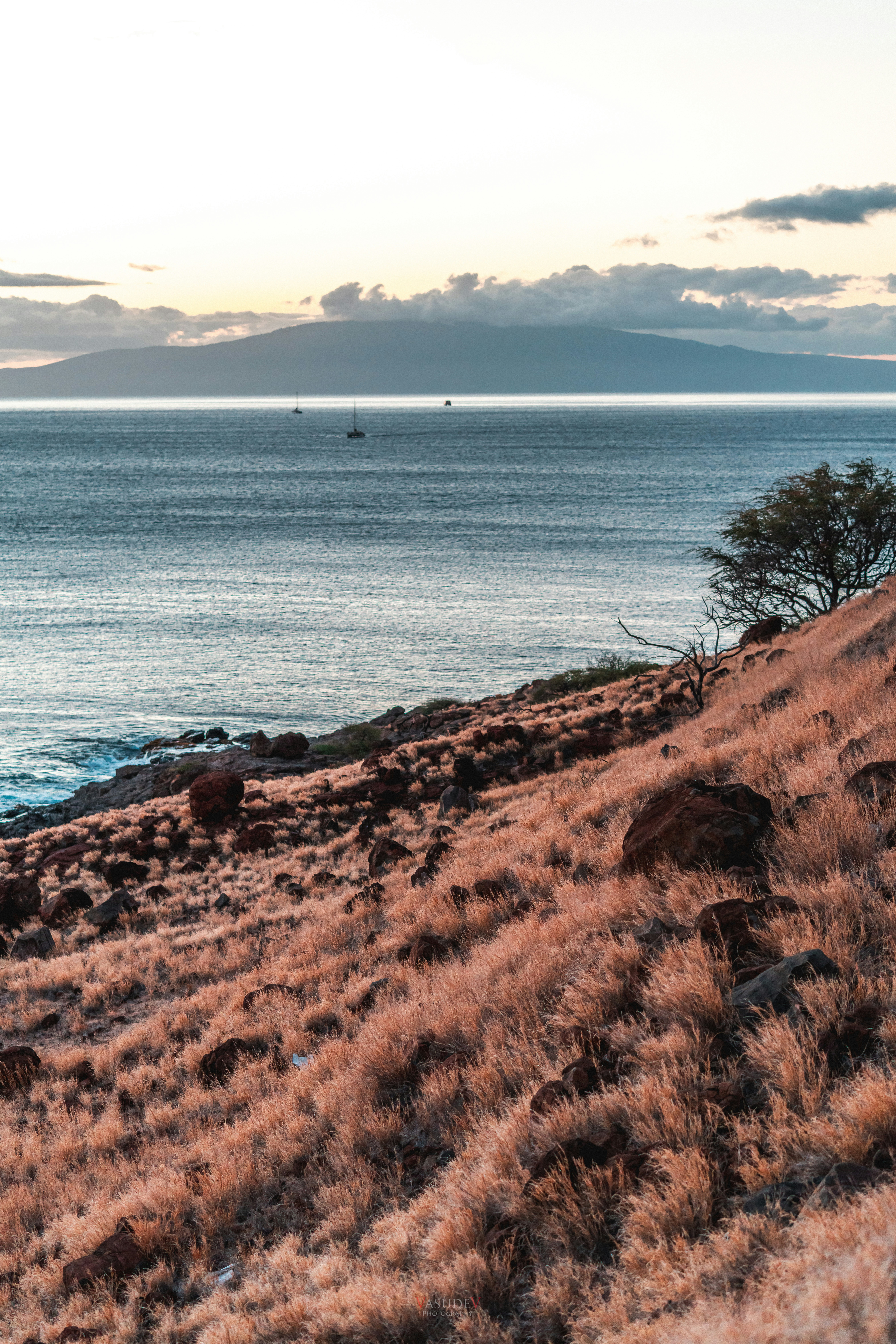 A view of a body of water from a hill