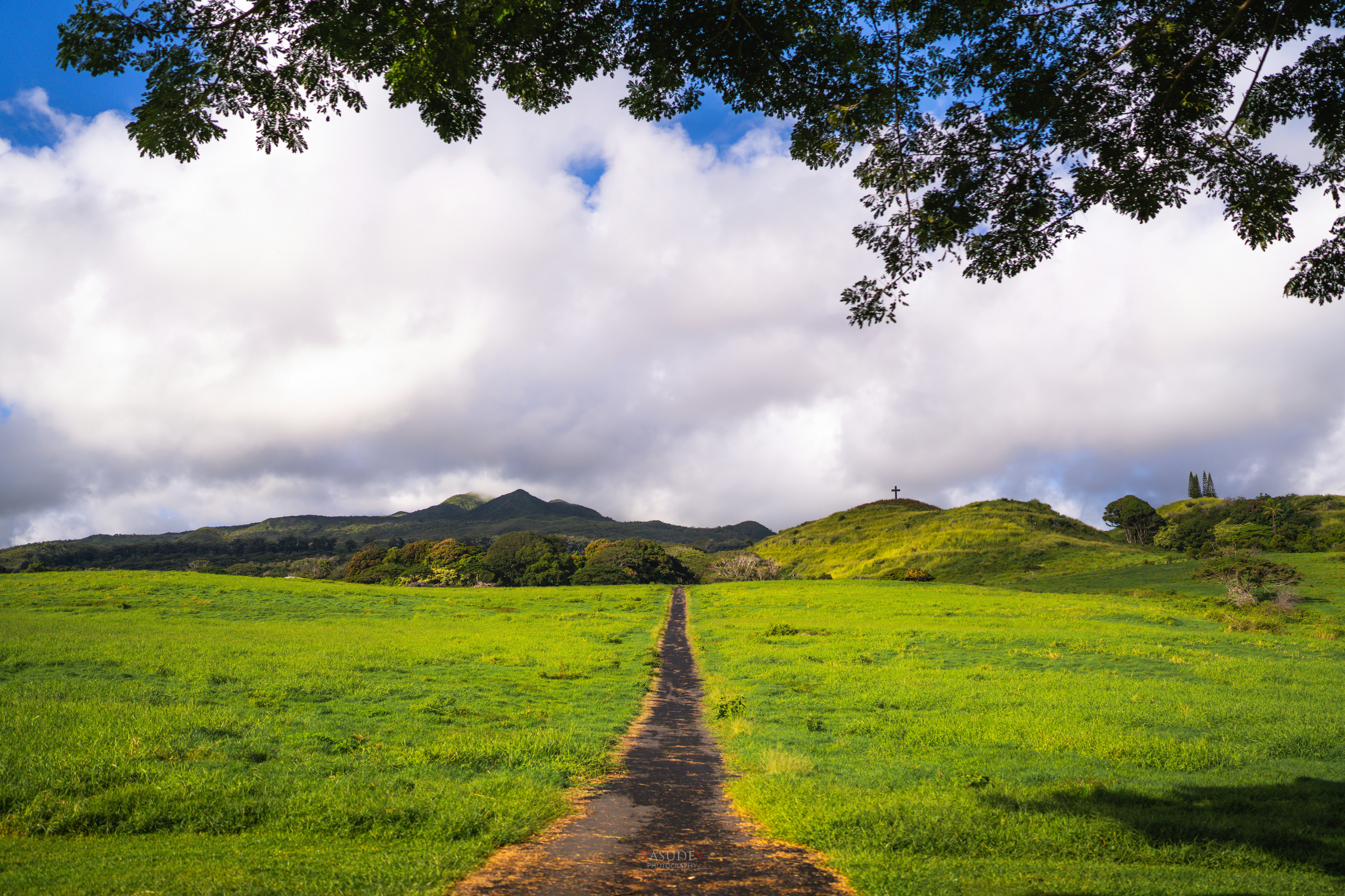 Photo by vasupendyalaa