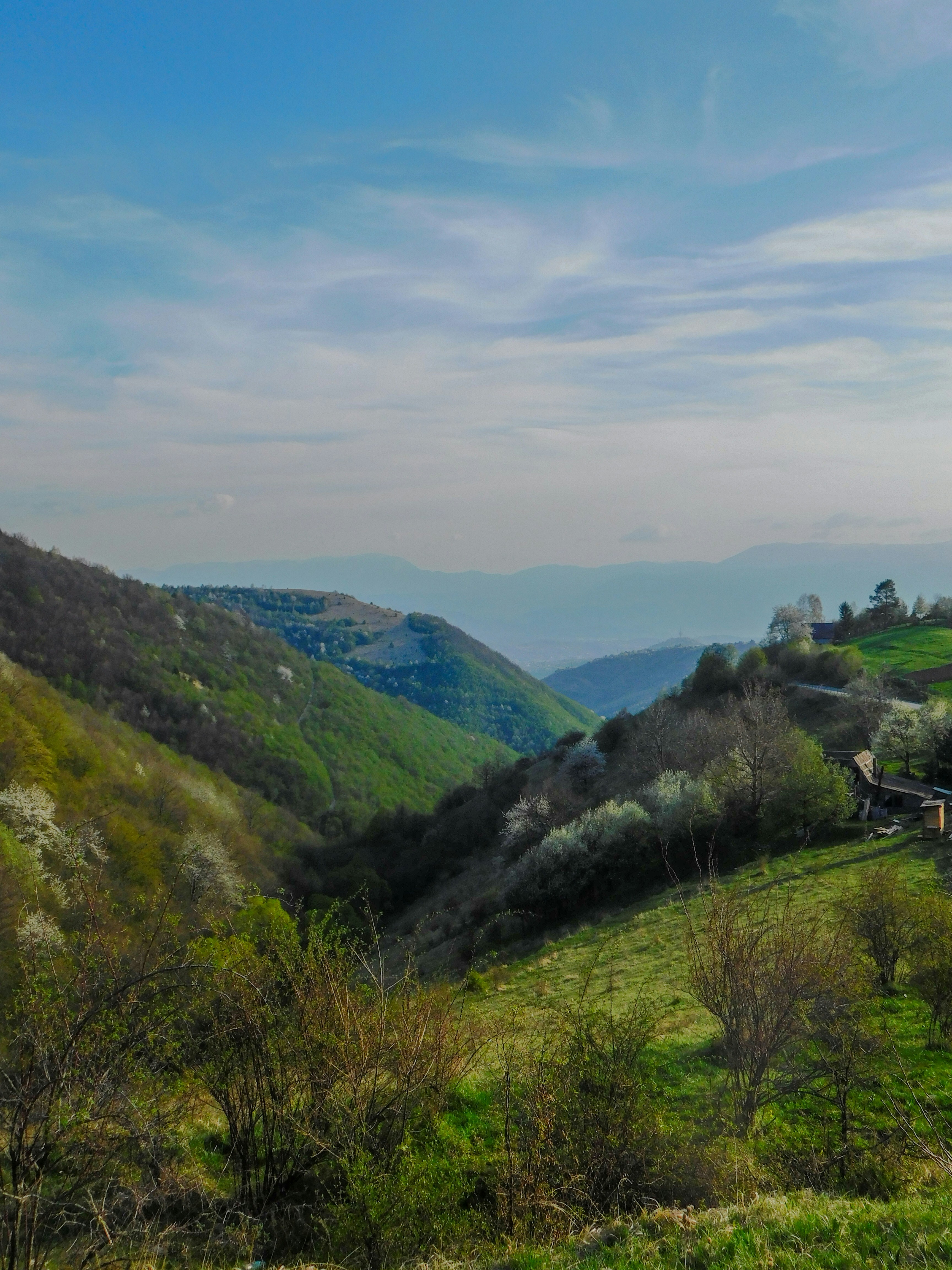 A scenic view of a lush green hillside