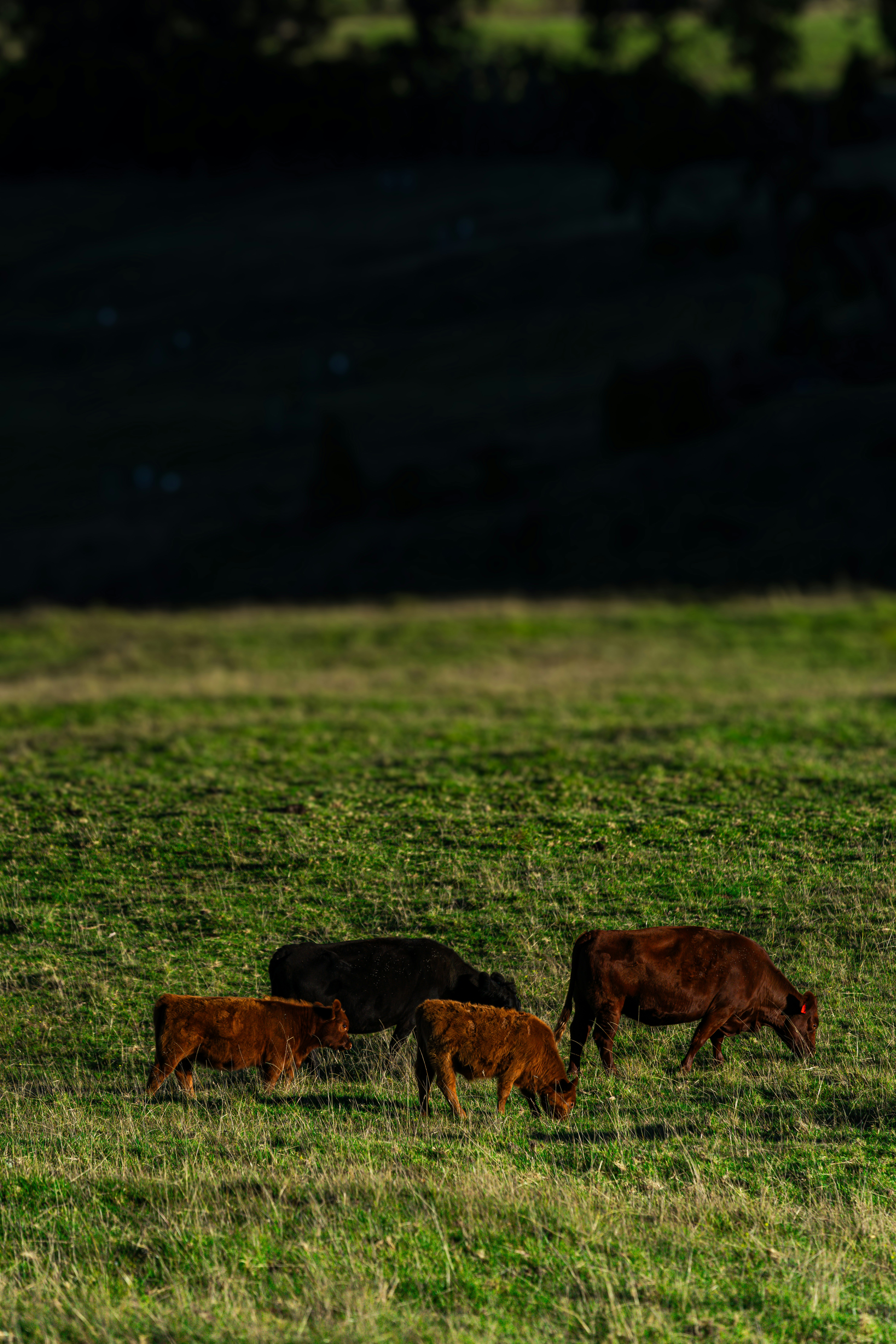 Photo by vasupendyalaa