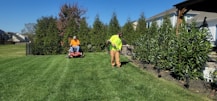 A man mowing a lawn with a lawn mower