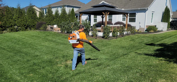 Crew member clearing clippings with a backpack blower