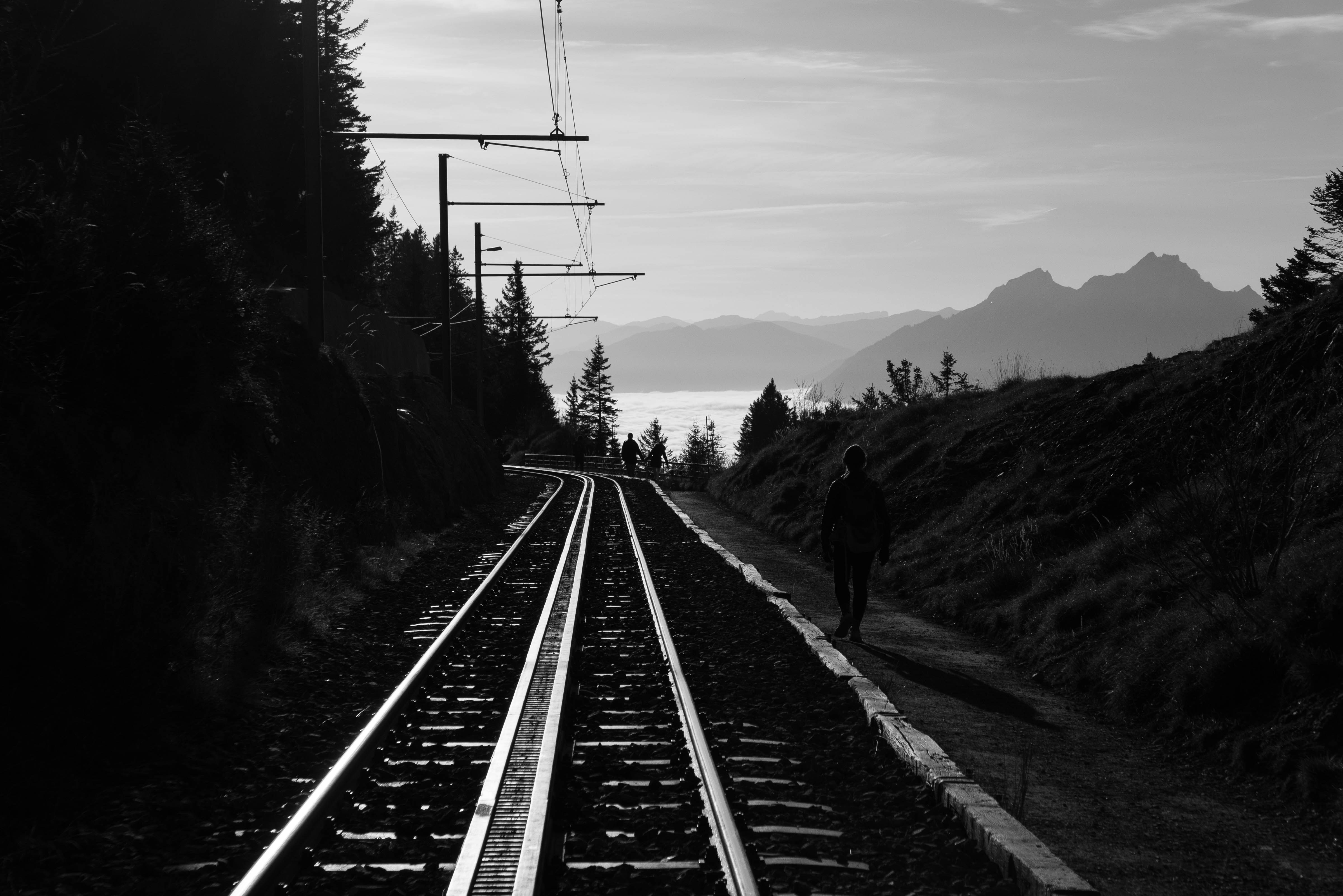 A man walking down a train track next to a forest
