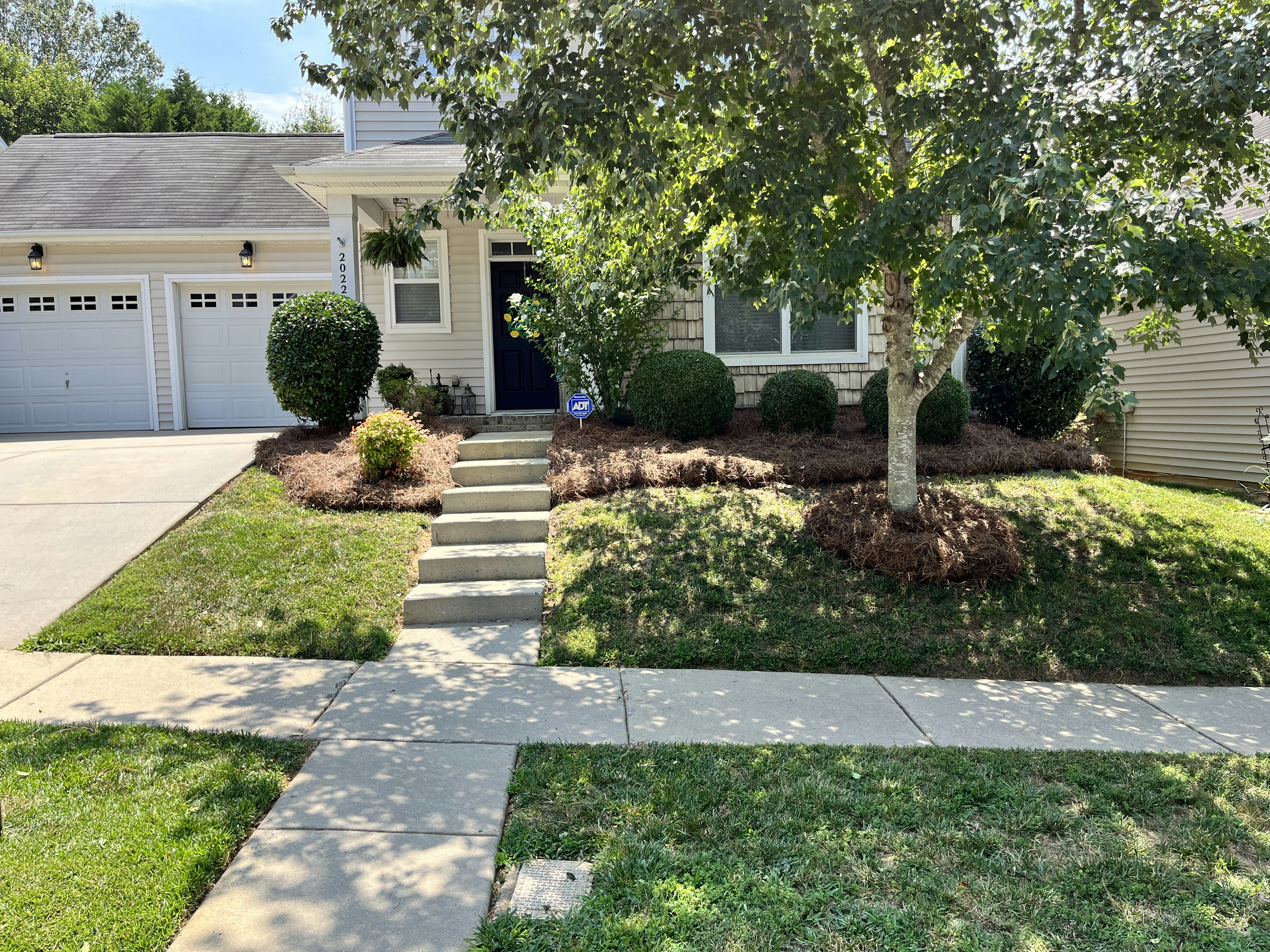 Clean and welcoming front entrance of a suburban home with stone path and plants