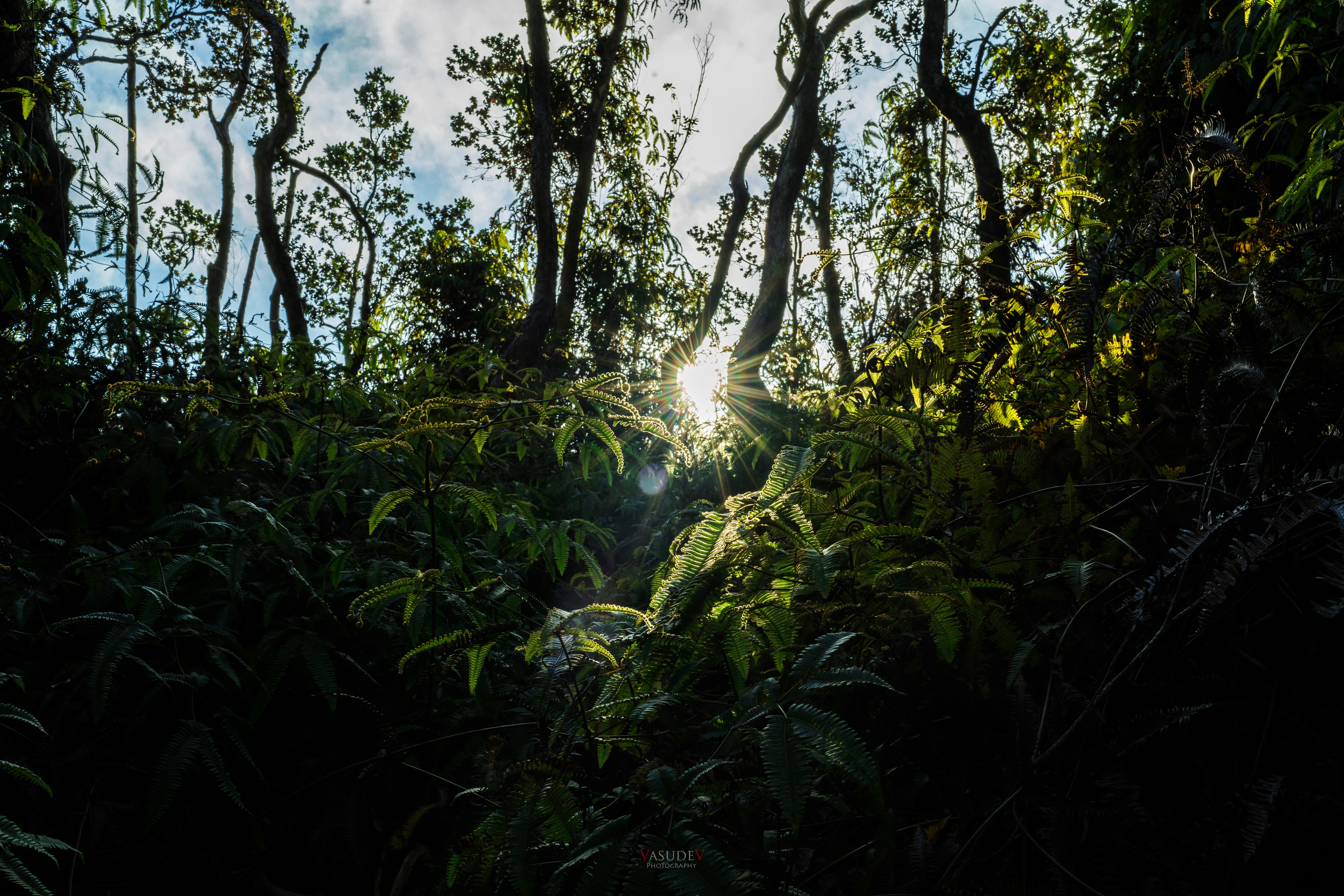 Photo by vasupendyalaa