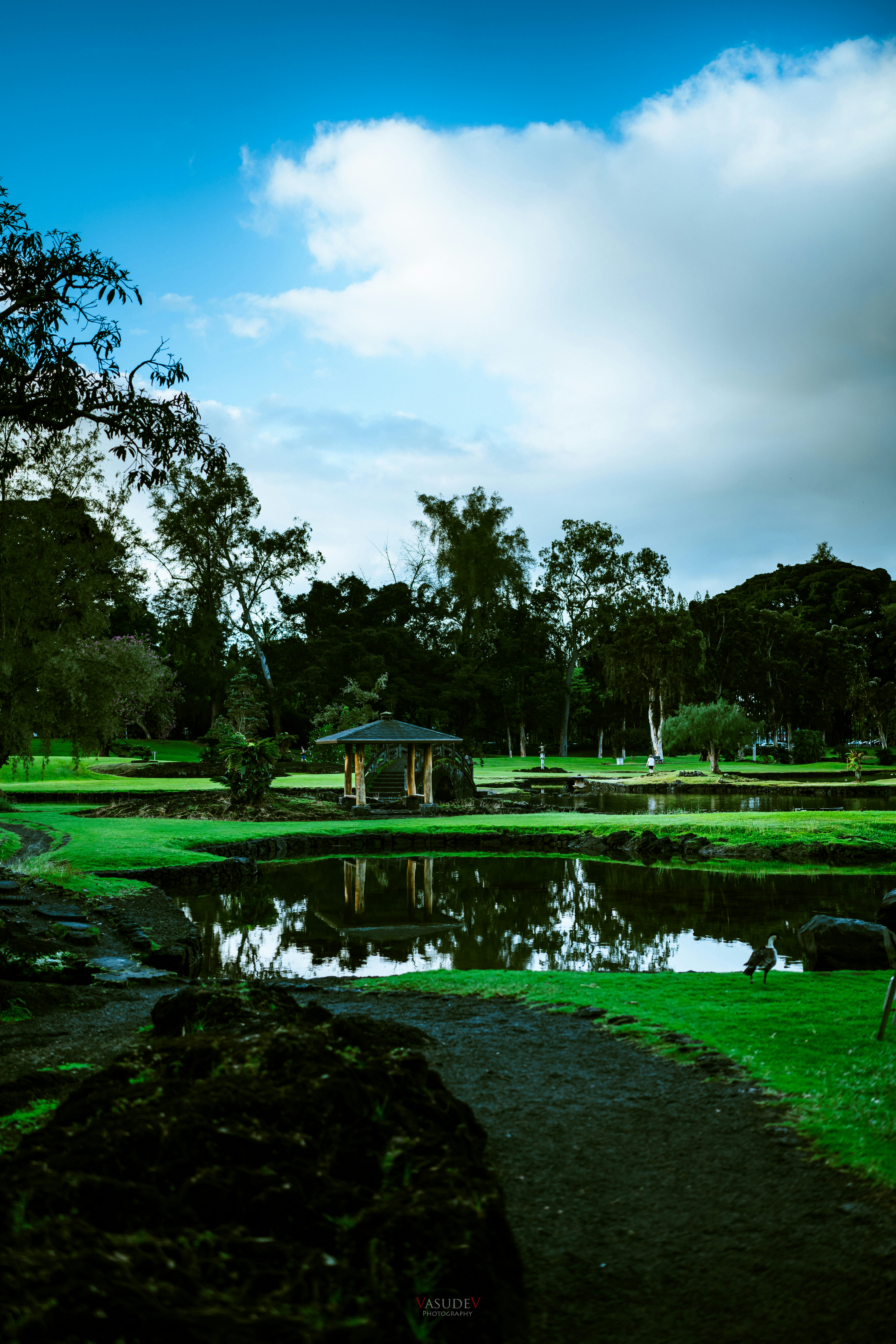 Photo by vasupendyalaa