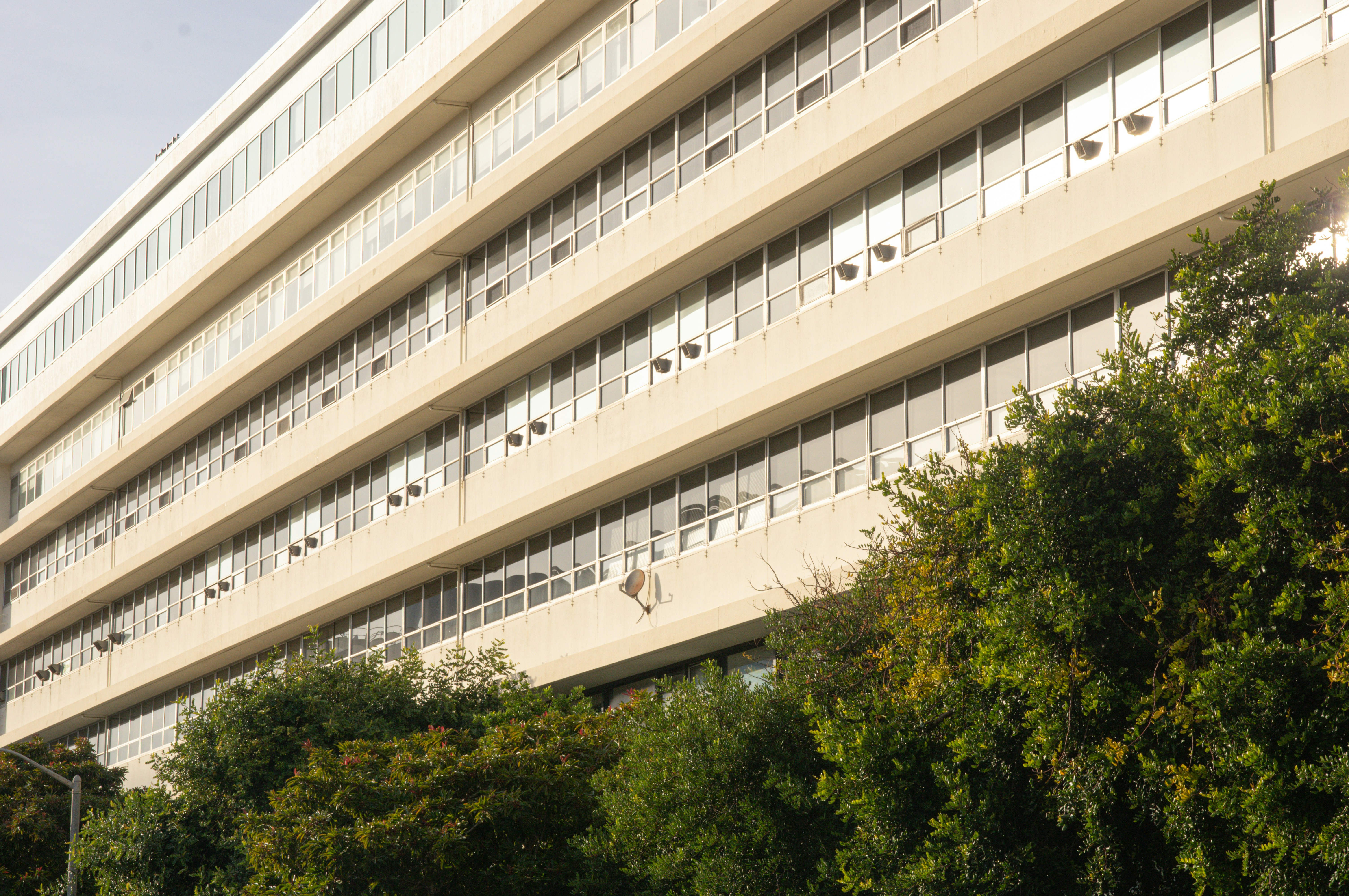 Photo by bronsonvalley