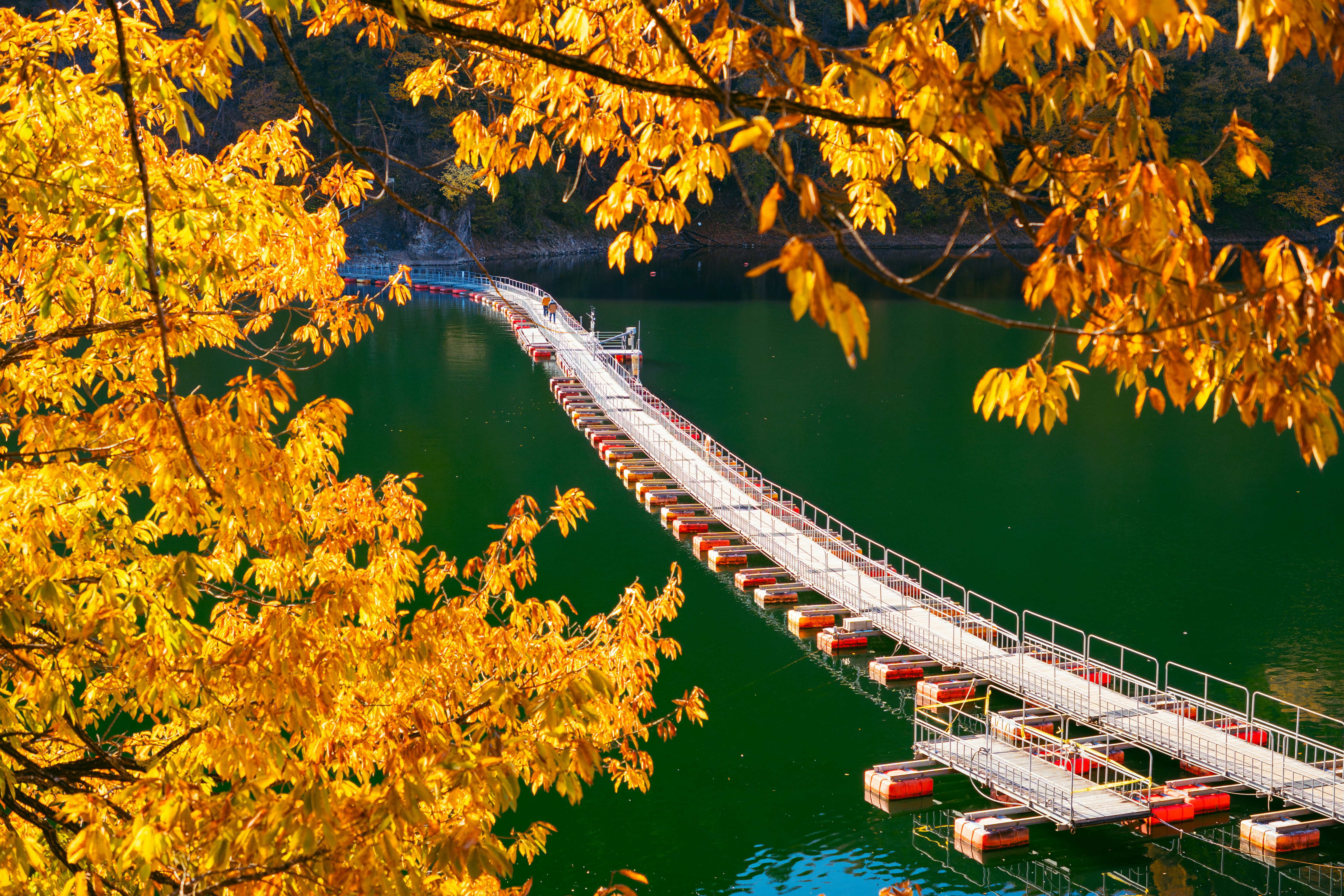 The Bridgewater Hall