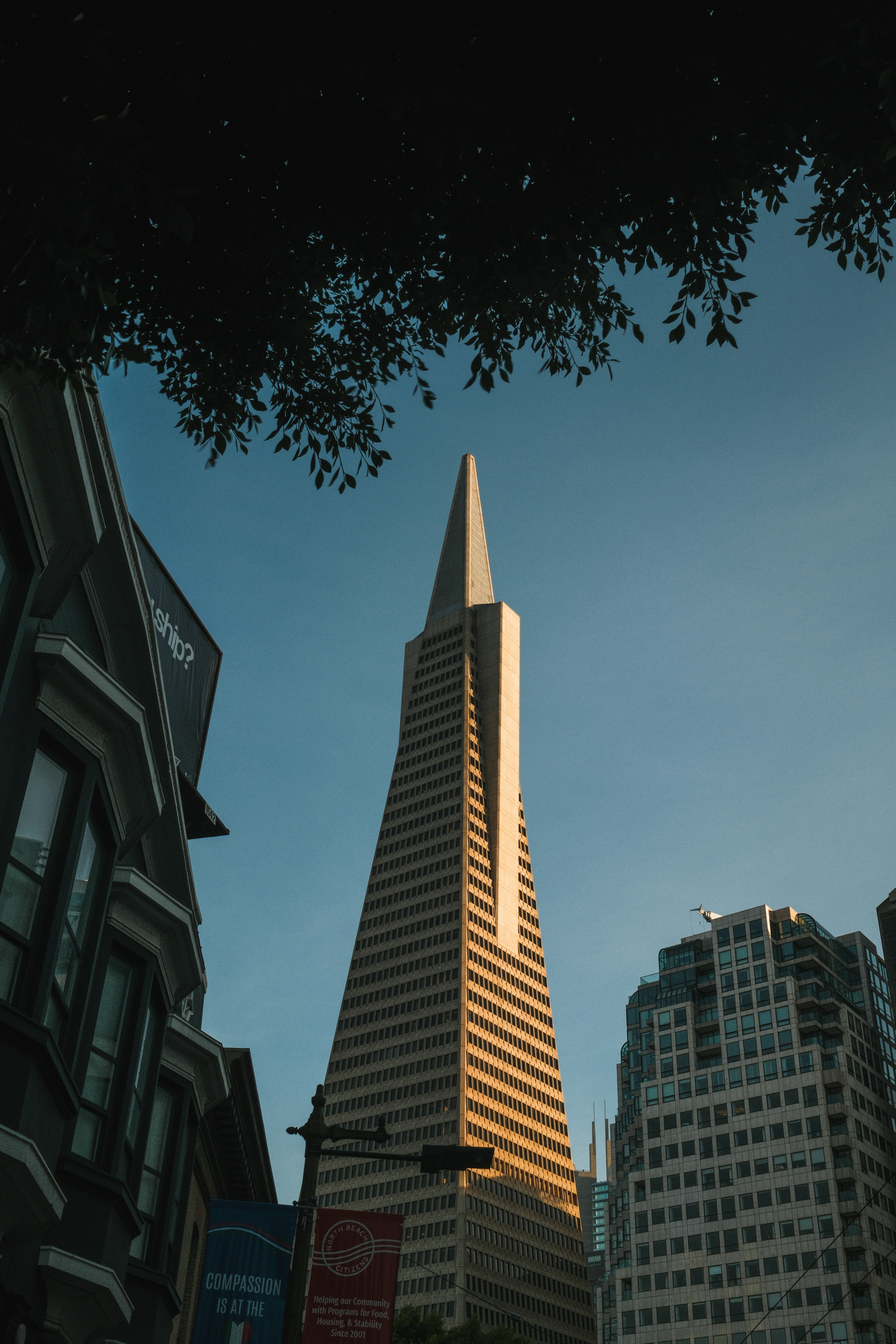 Photo by kalaniparker