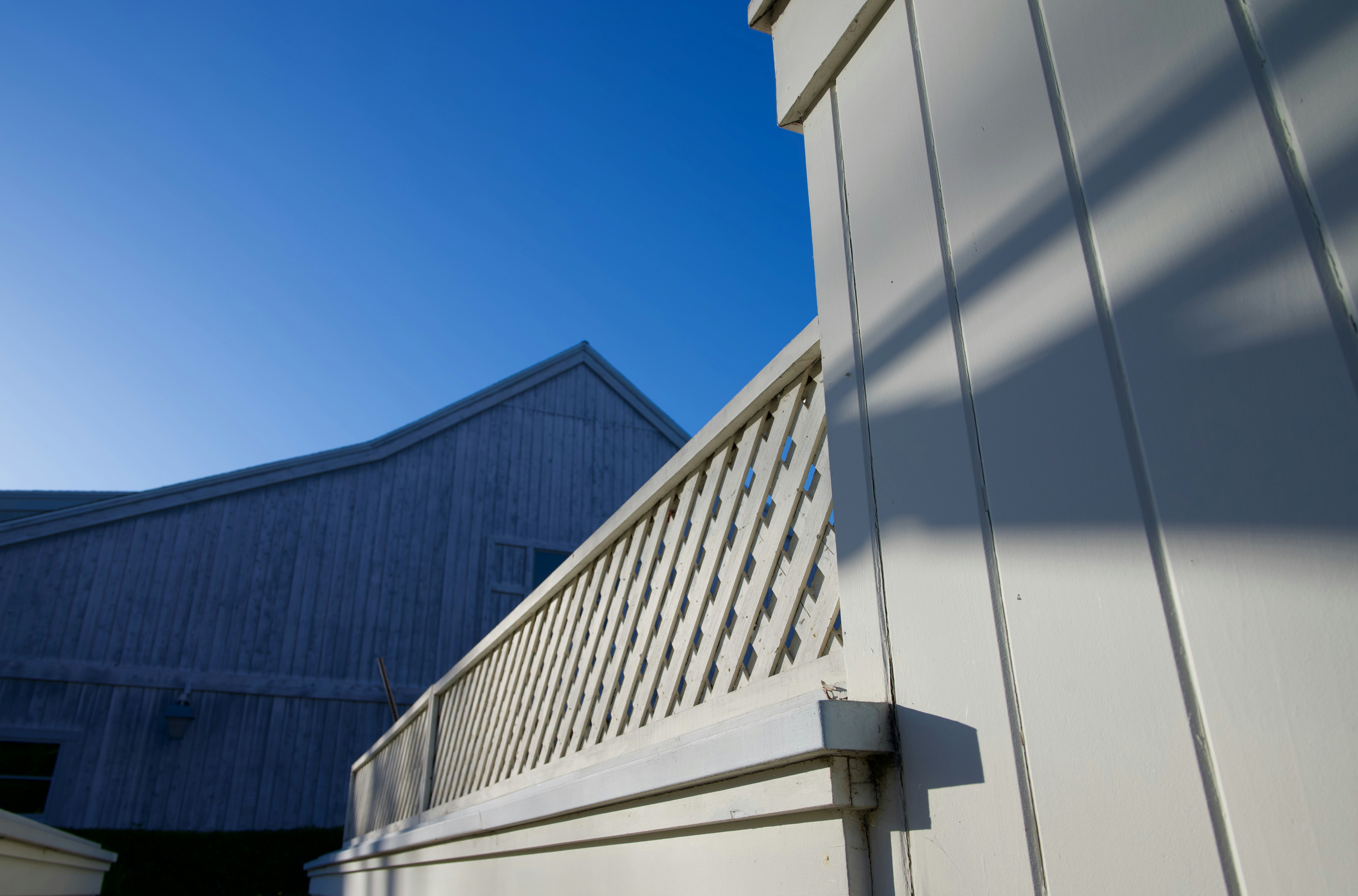 Photo by saadahmad_umn