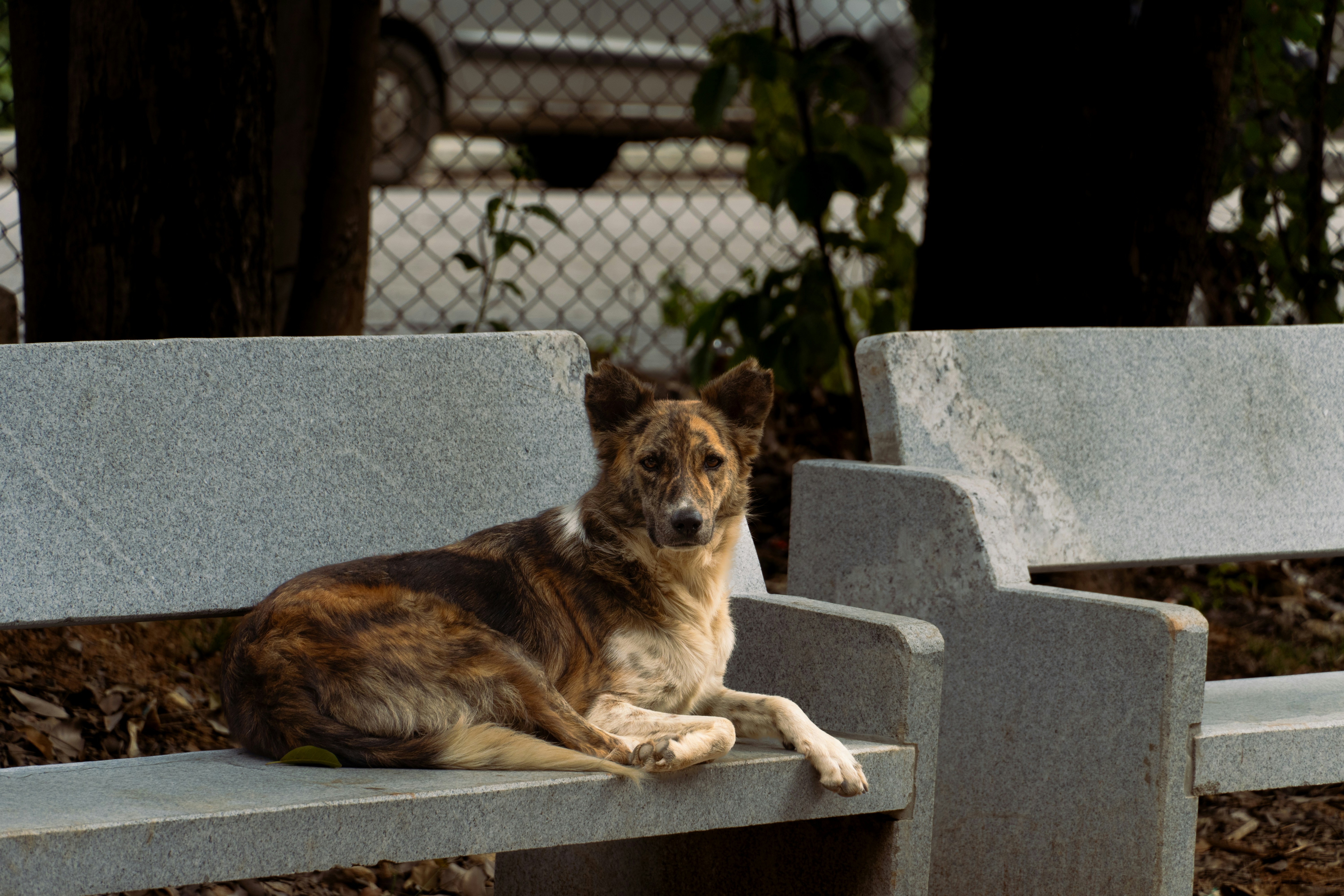 Photo by suhashanjar