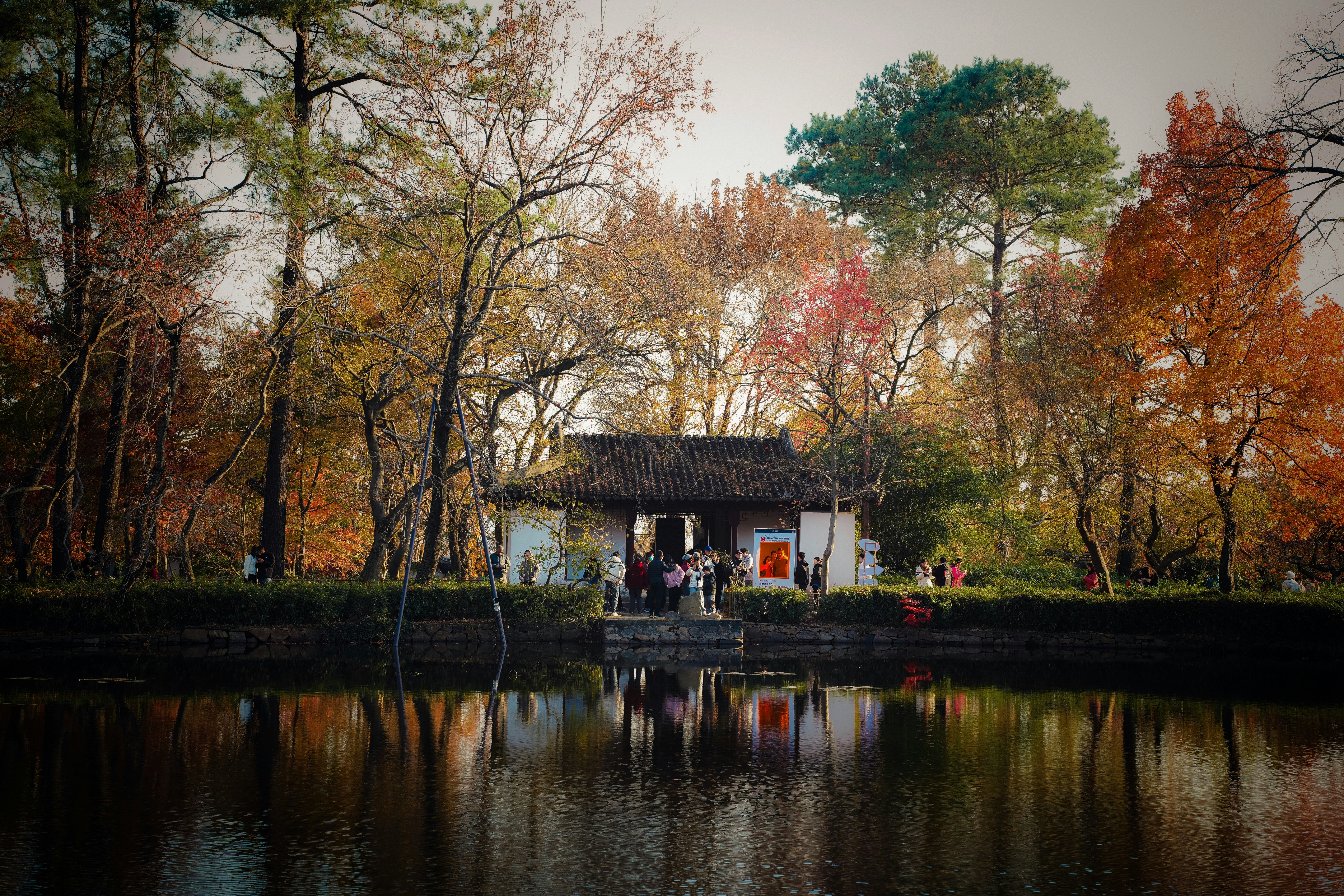 Photo by rebylulu