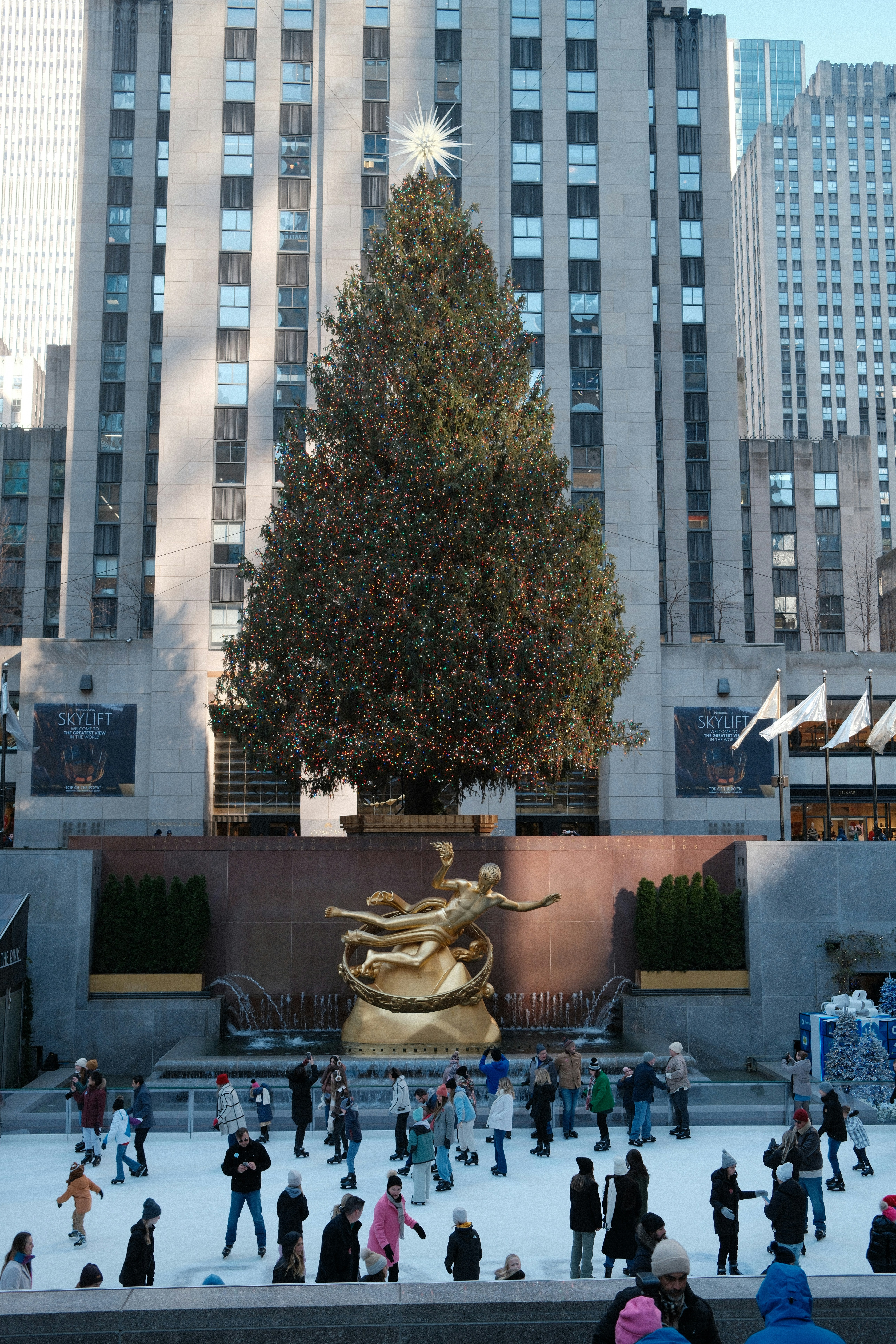Ein großer Weihnachtsbaum auf einem Stadtplatz
