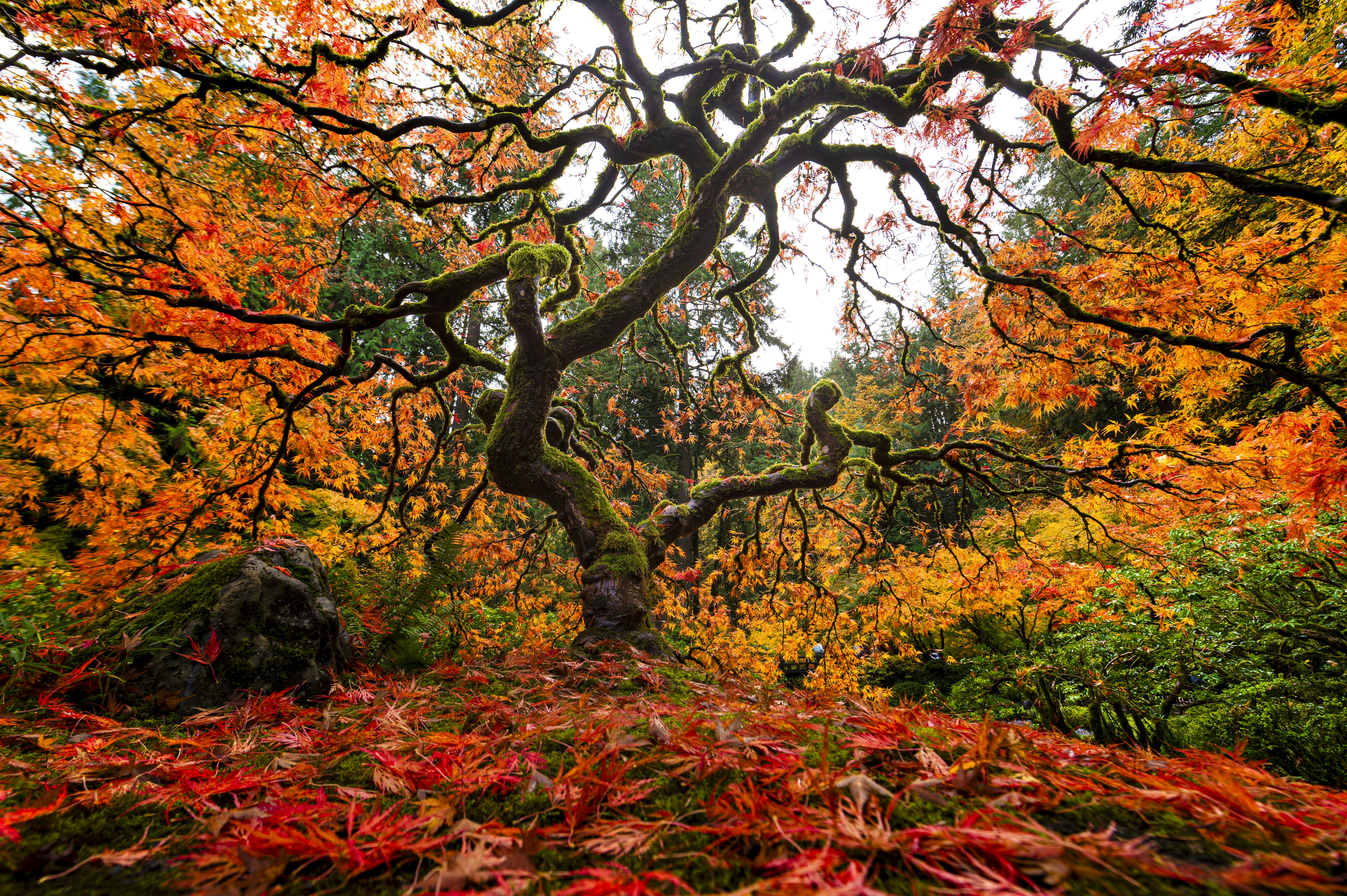 Photo by dennisjhaug