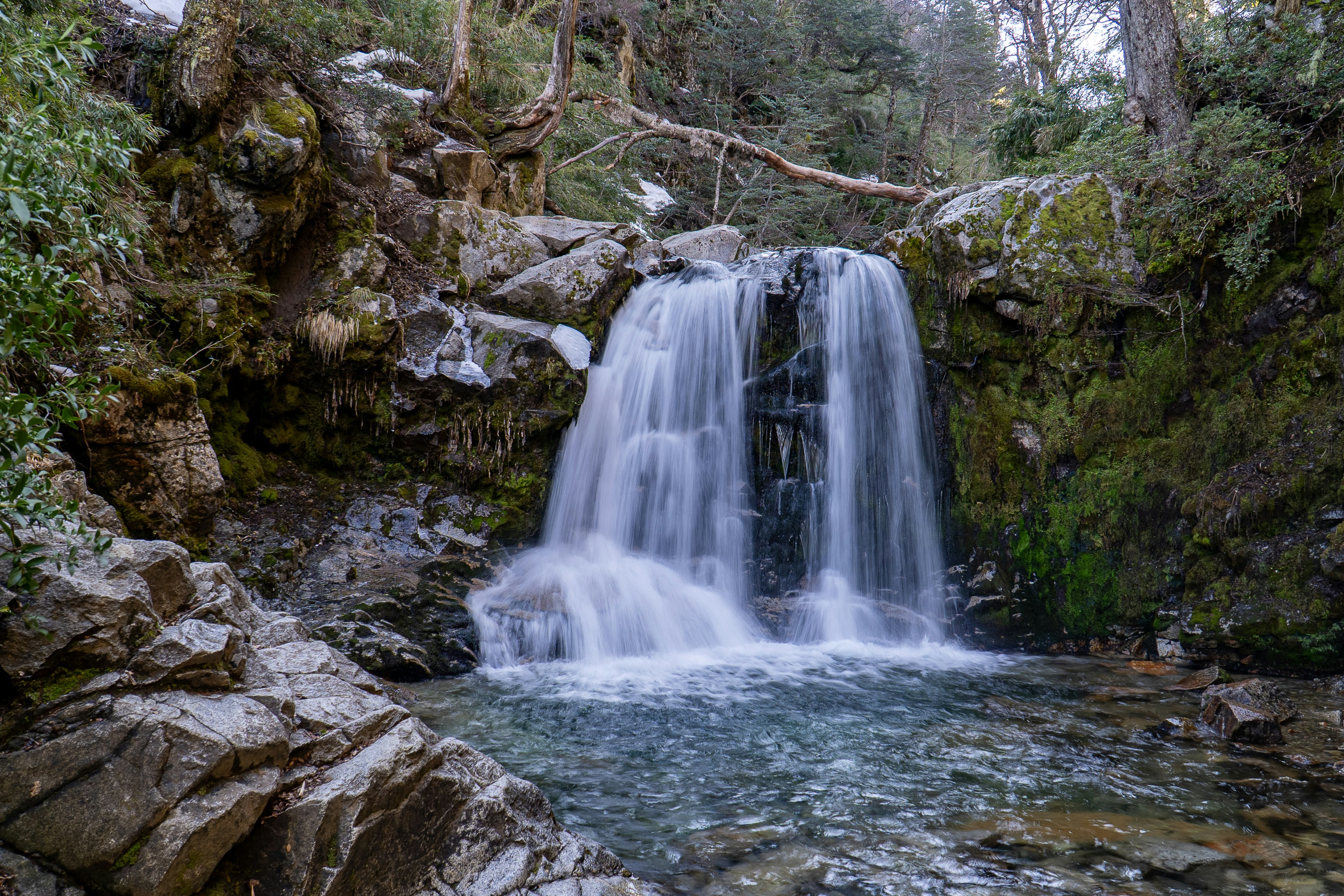 Photo by toshinmotion