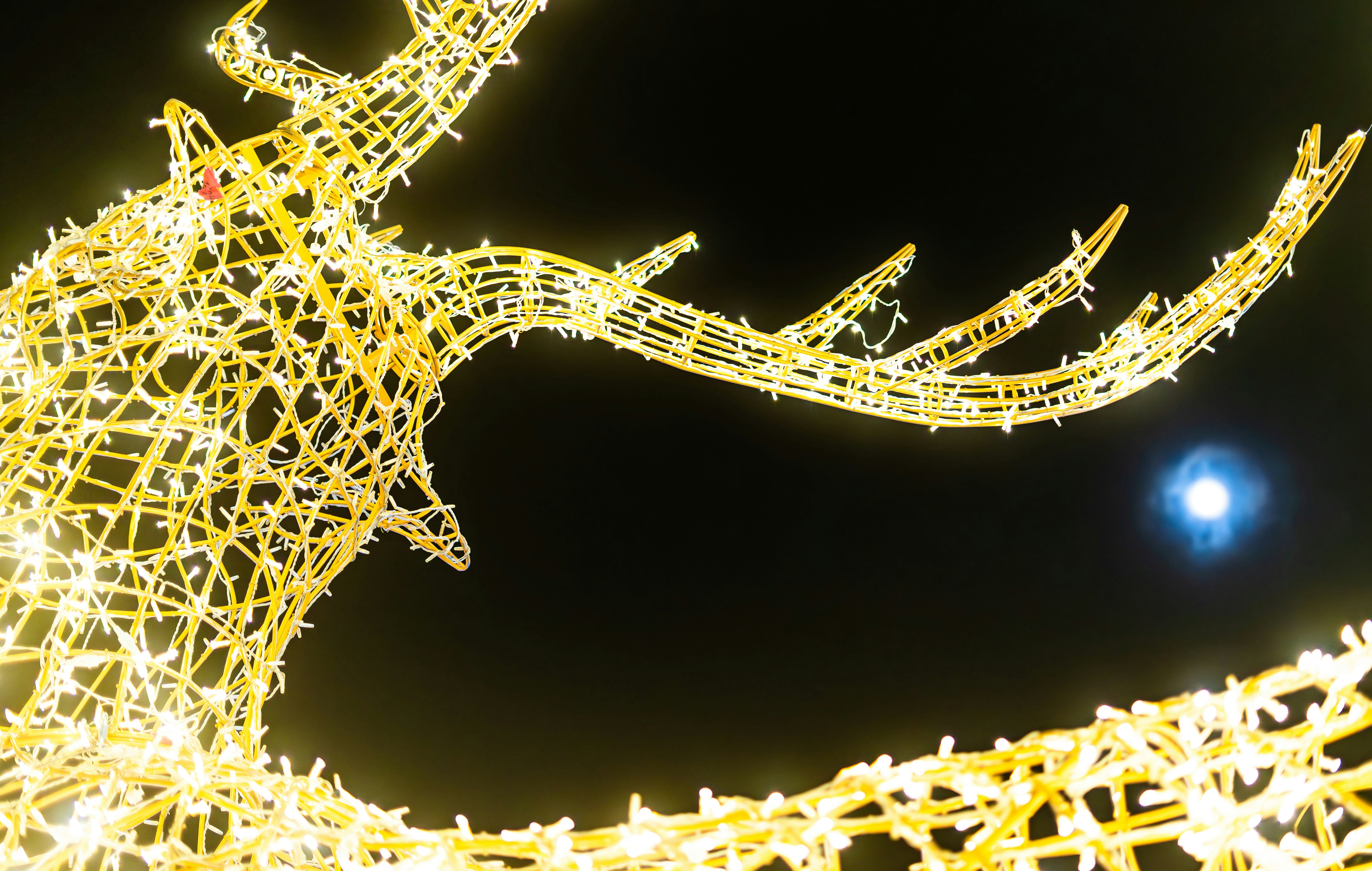 Photo by ghostdogg187