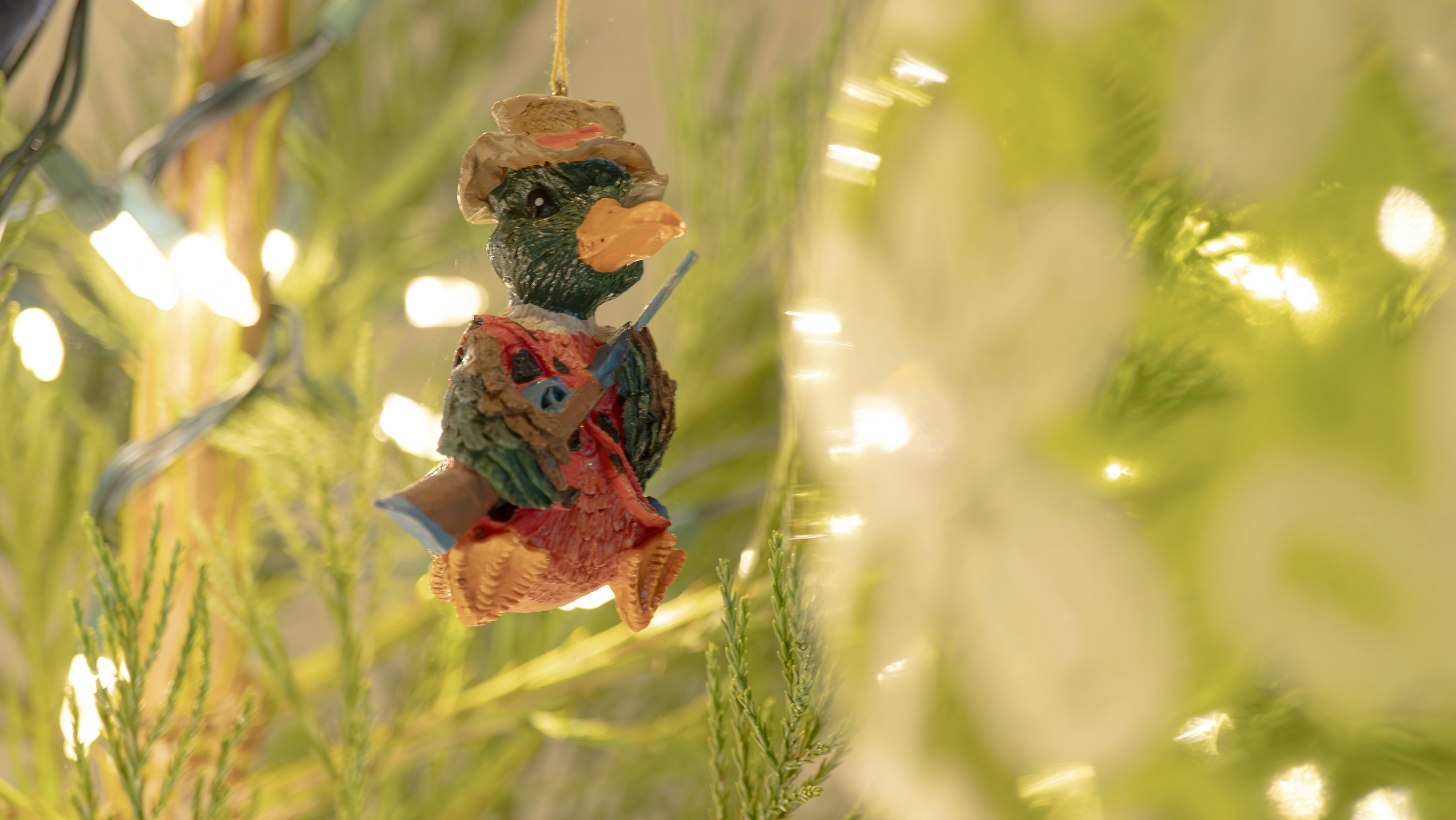 Photo by ghostdogg187