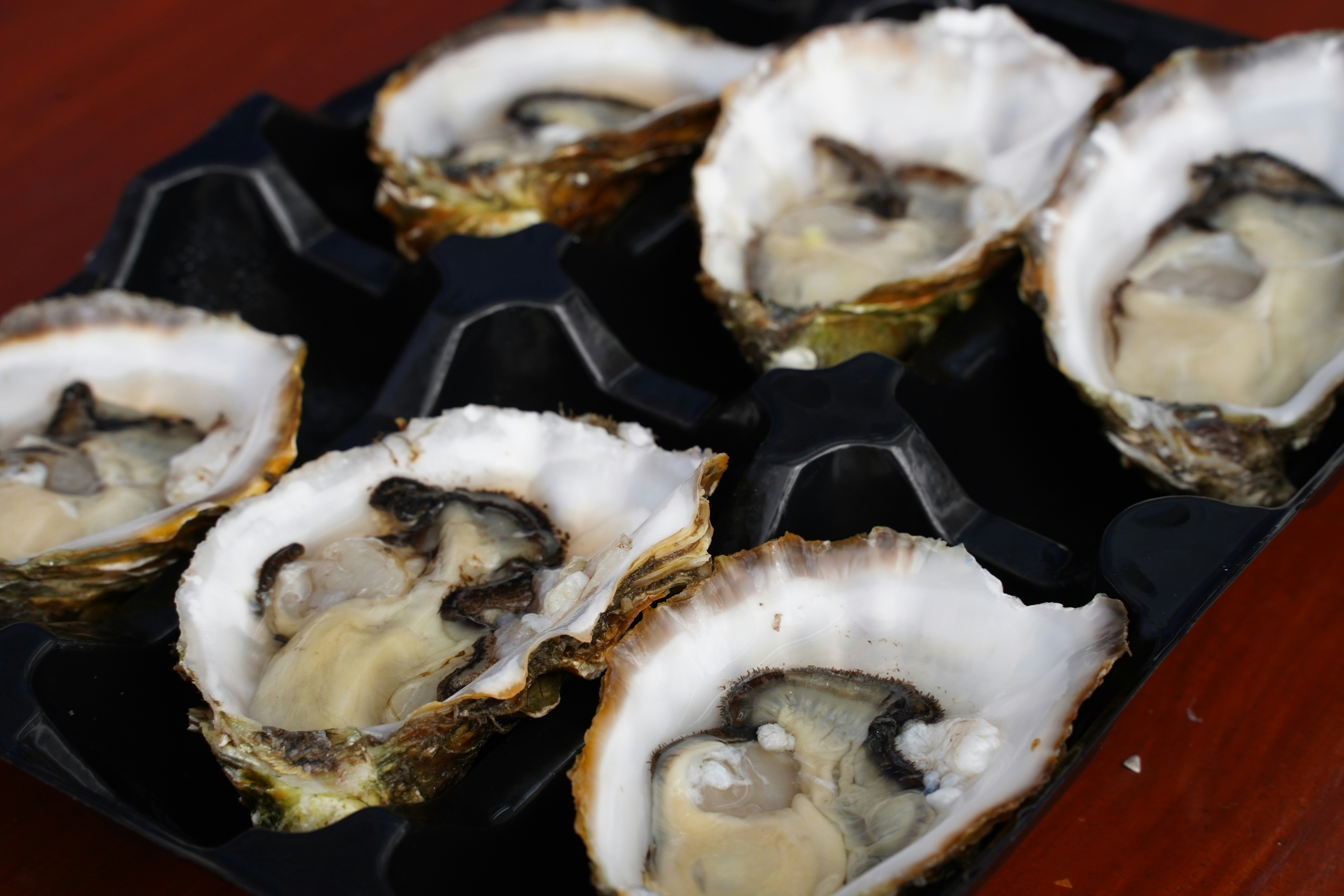 A tray of oysters on a wooden table ready to cook, a great way to start learning how to eat oysters