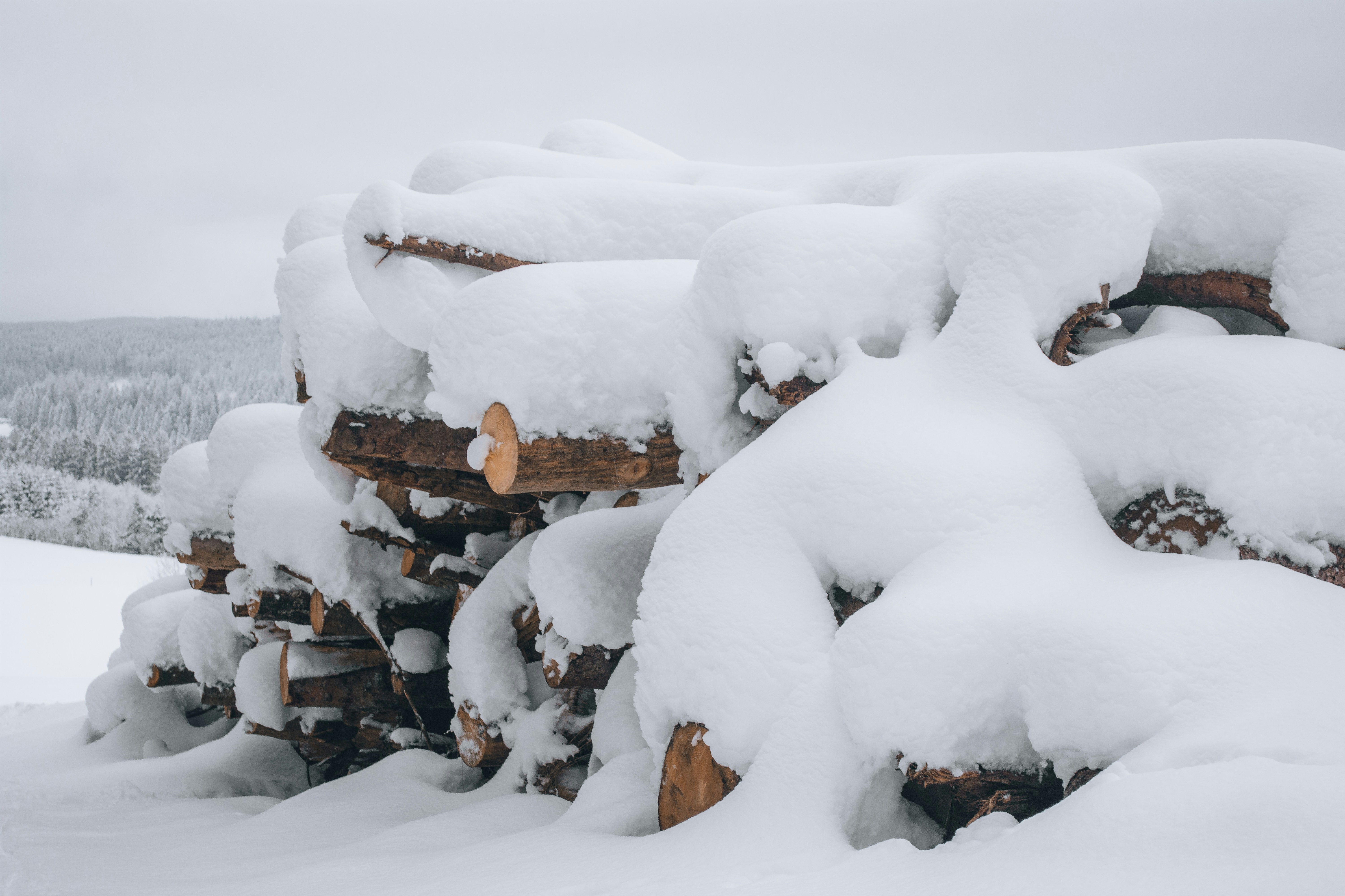 A serene winter scene featuring a large stack of logs completely blanketed in thick, untouched snow. The soft, white layers create a contrast with the rough texture of the logs, embodying the quiet stillness of a snowy forest landscape.