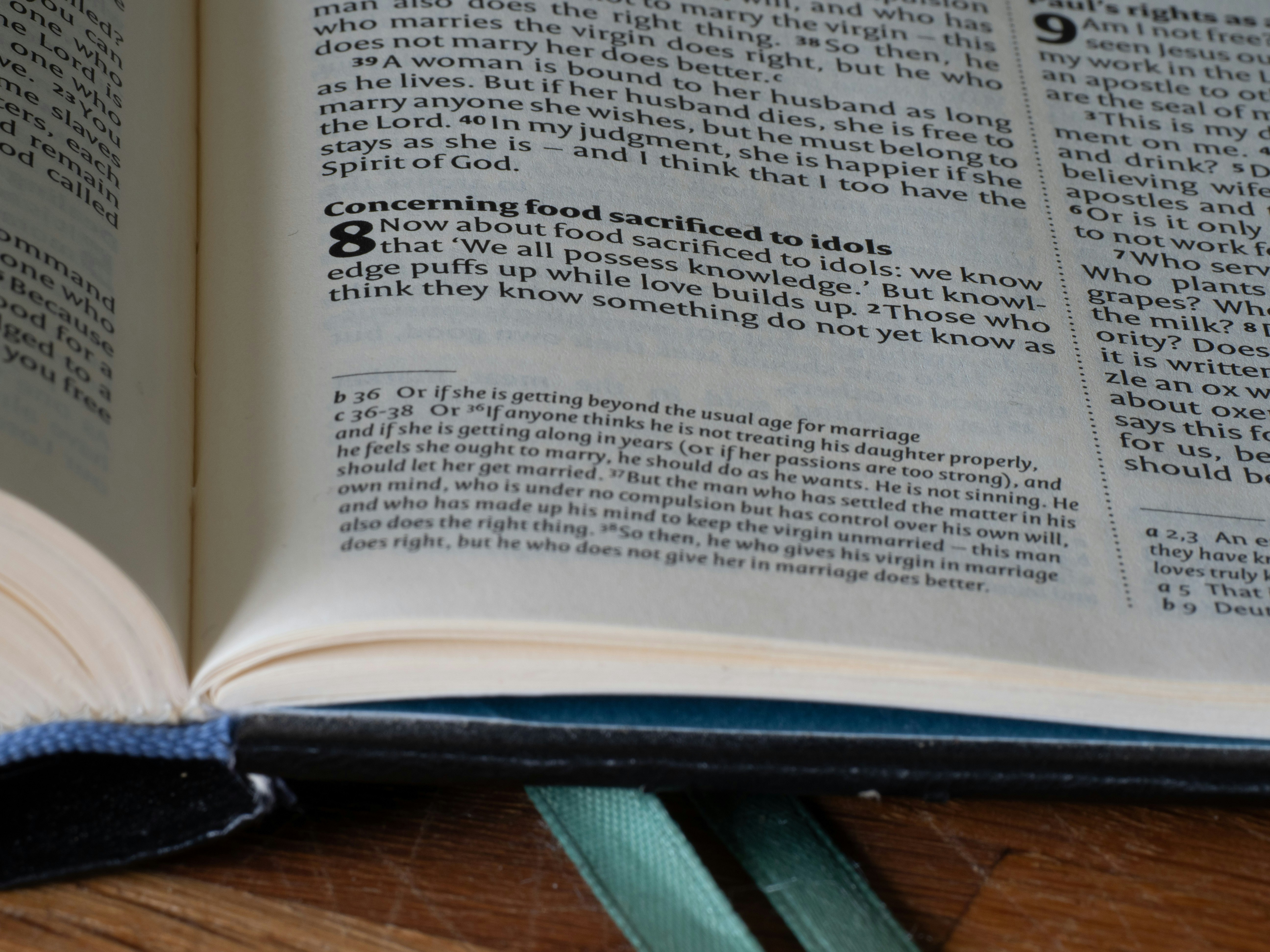 Photo by brett_jordan