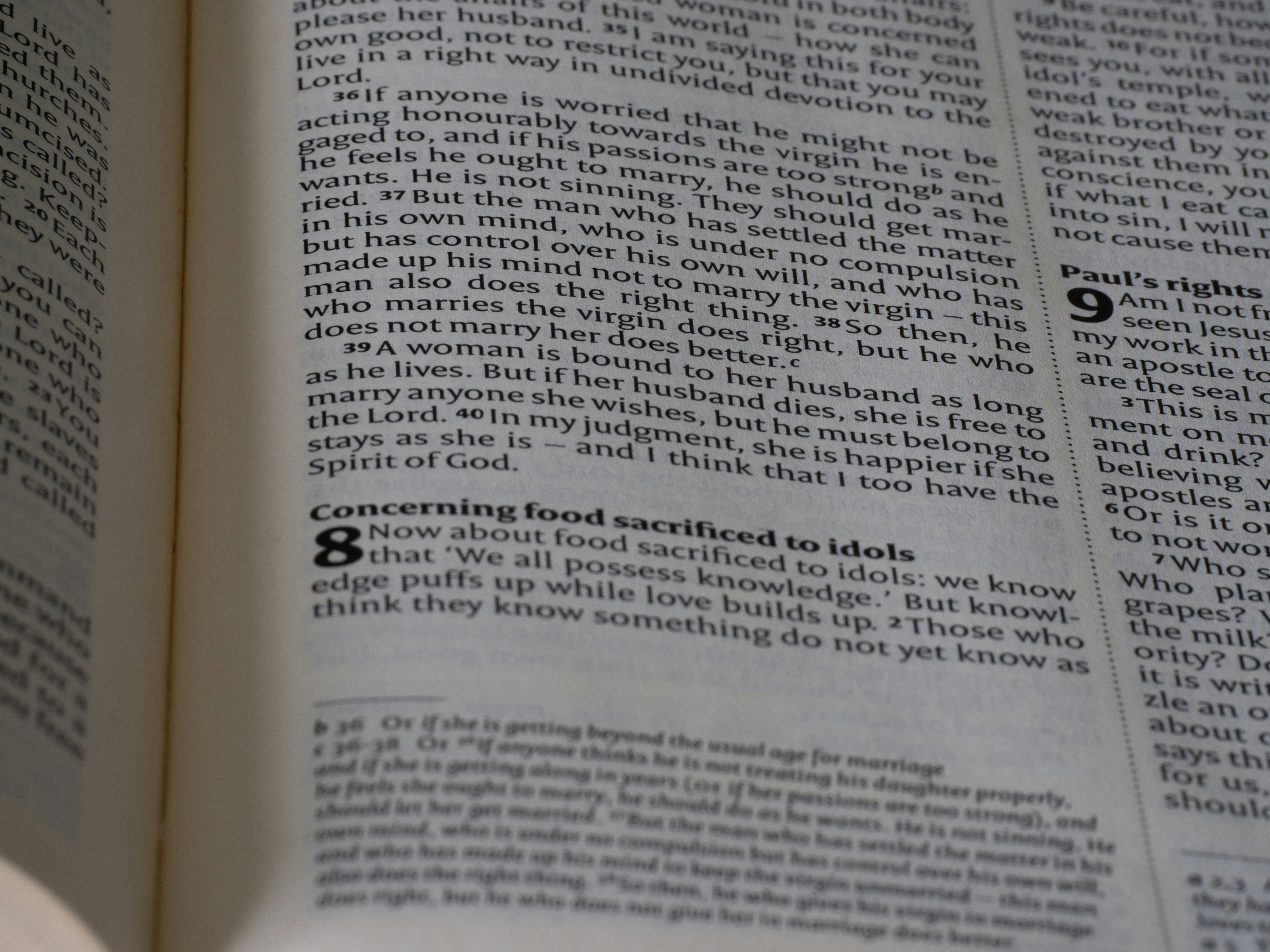 Photo by brett_jordan