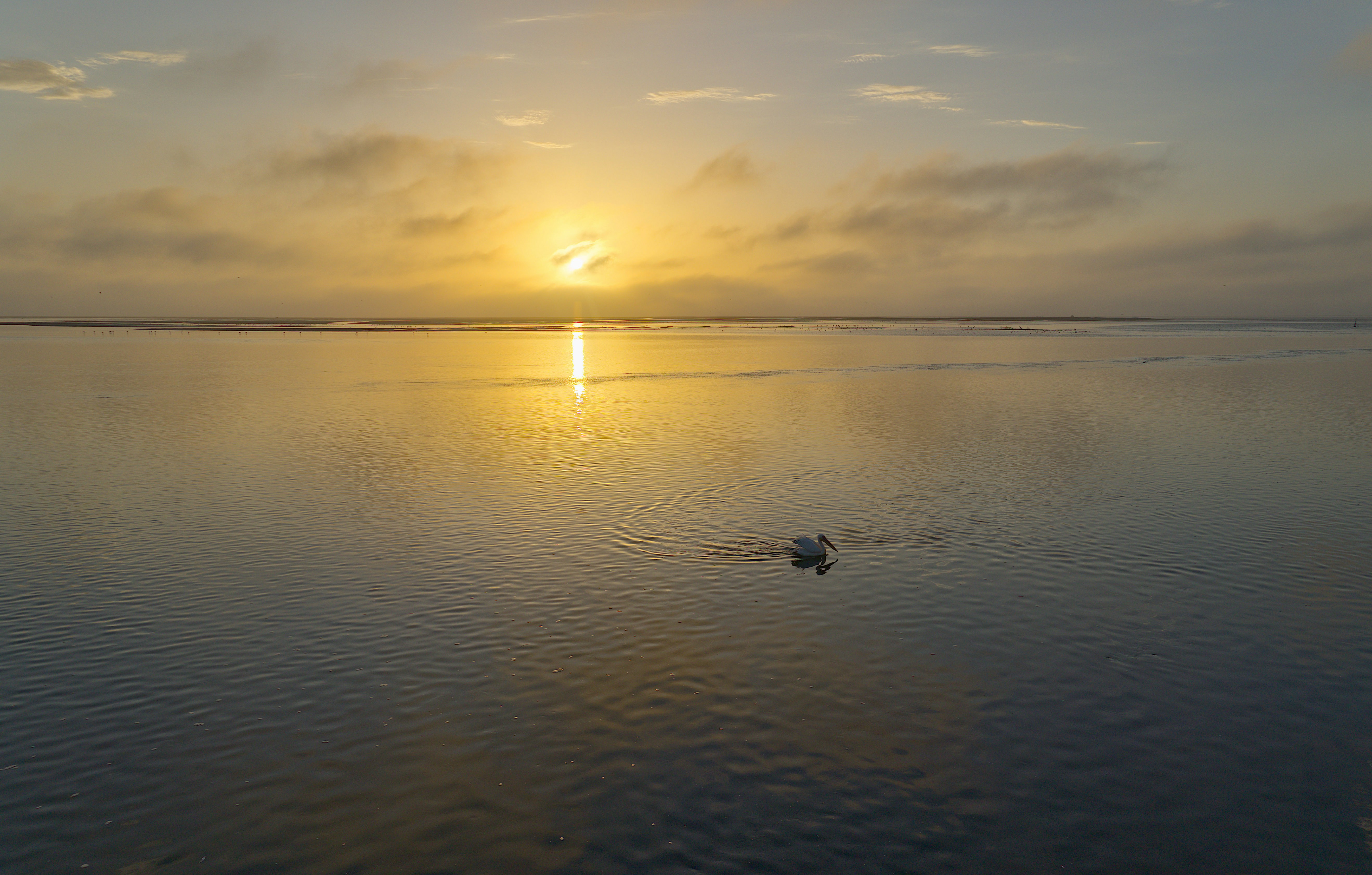 Photo by jeanwolo