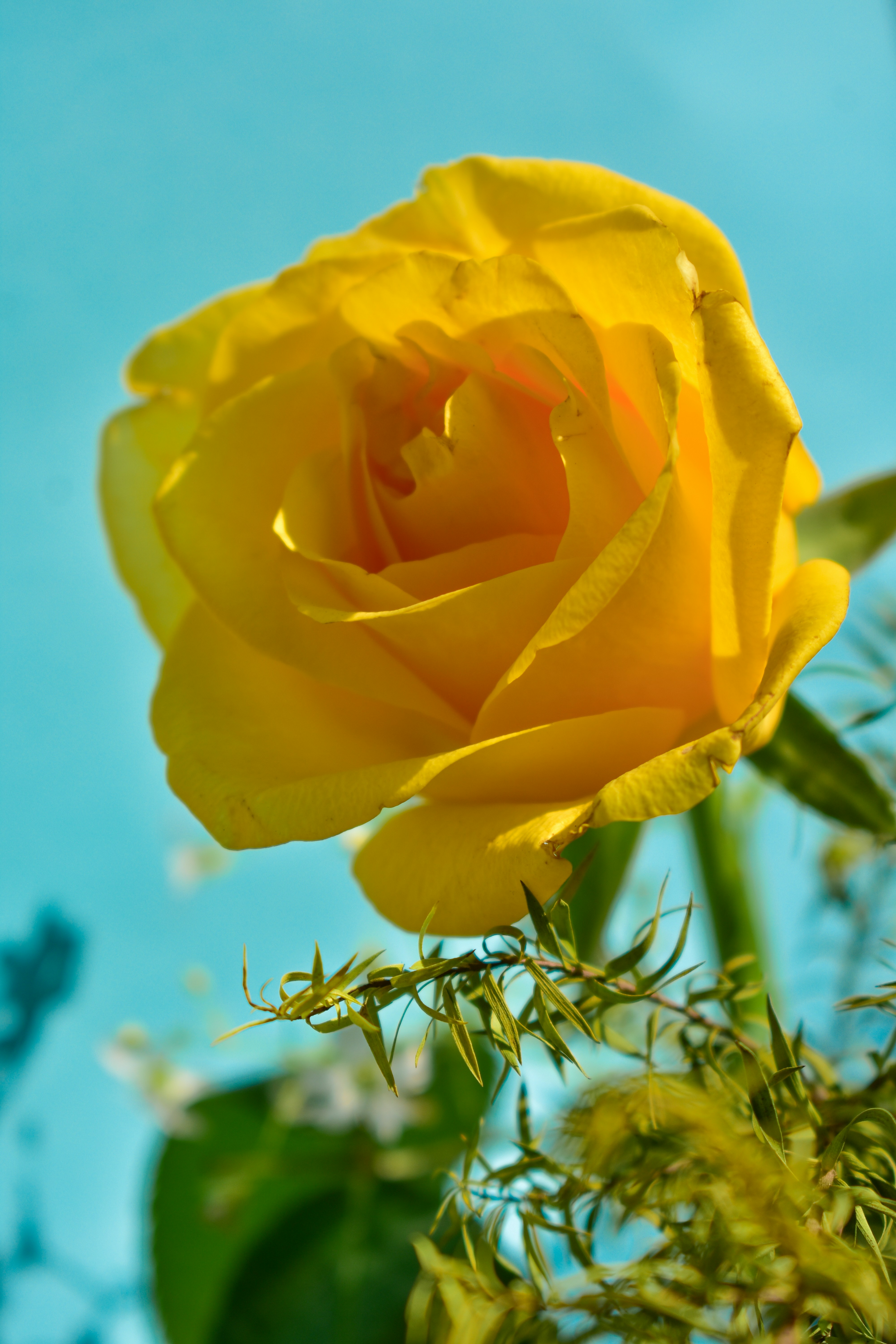 Photo by neelakshi_singh_