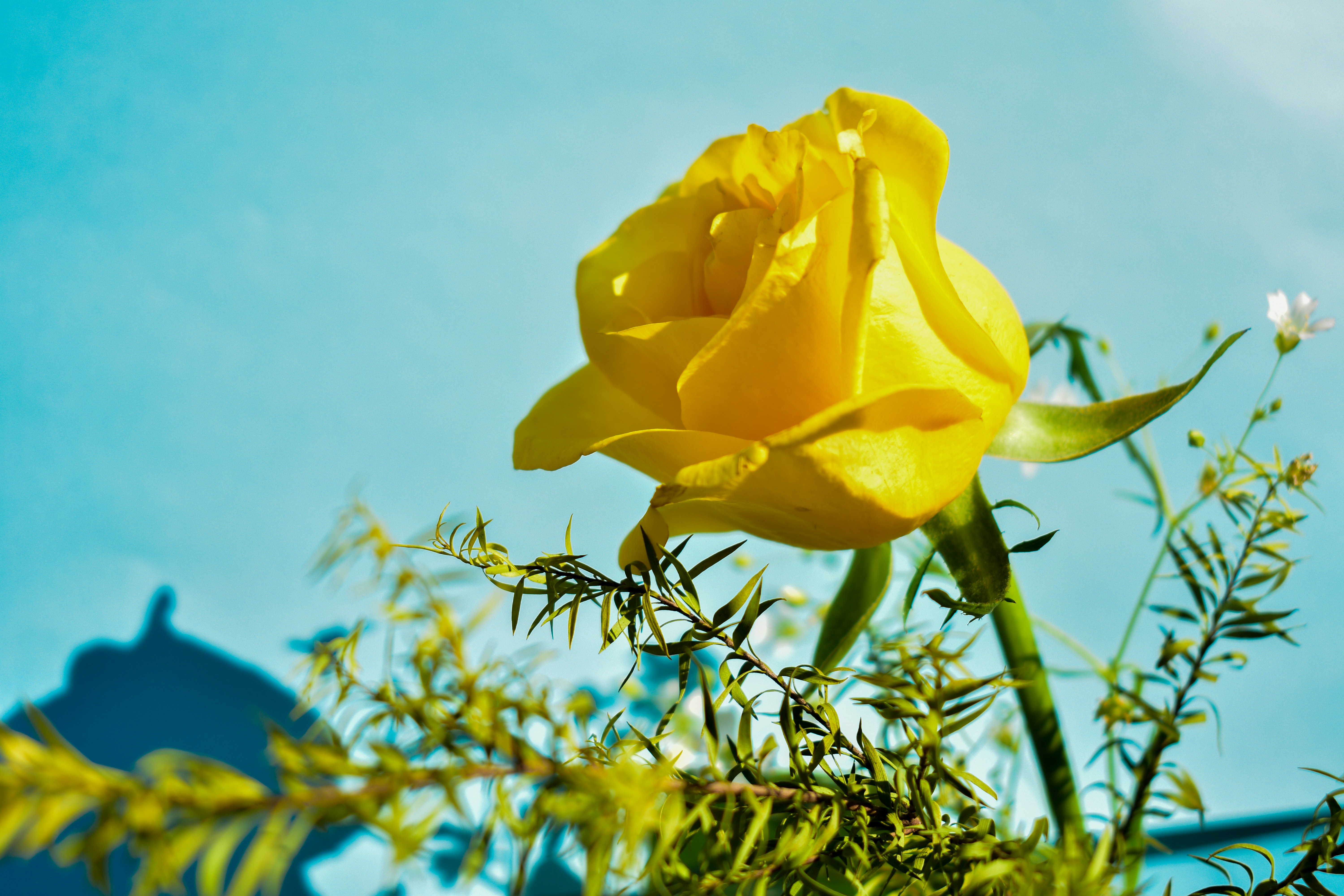 Photo by neelakshi_singh_