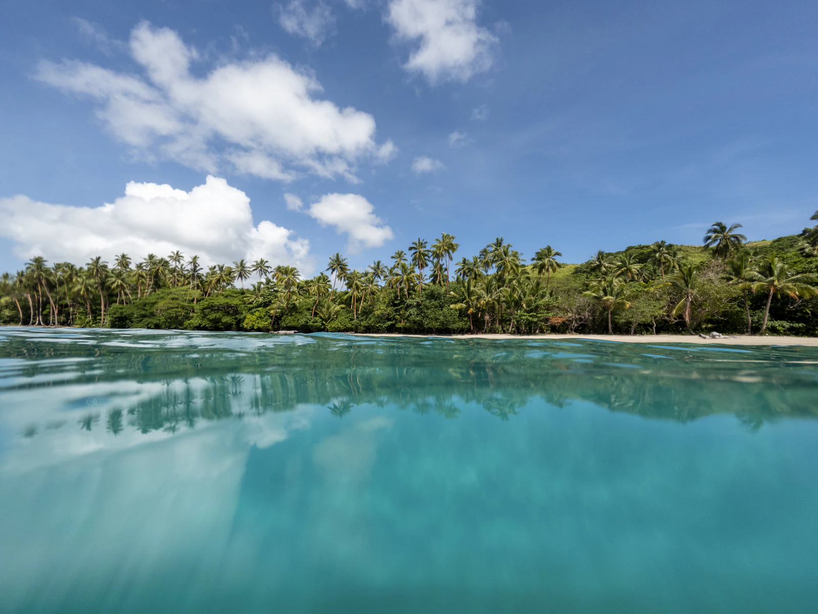 A palm-lined Fijian shoreline over clear shallow water