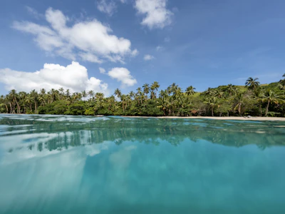 A palm-lined Fijian shoreline over clear shallow water