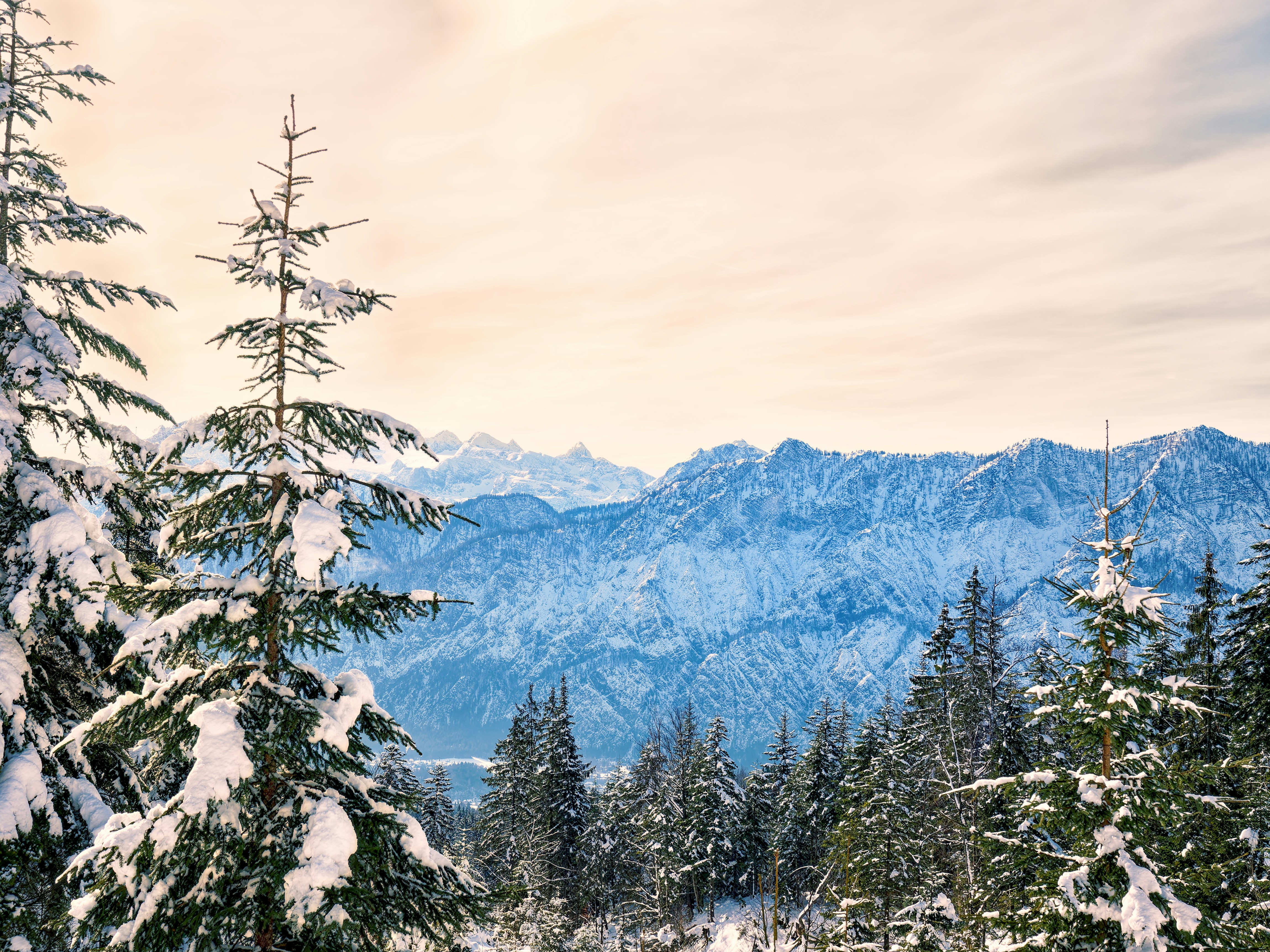 Photo by simon_berger