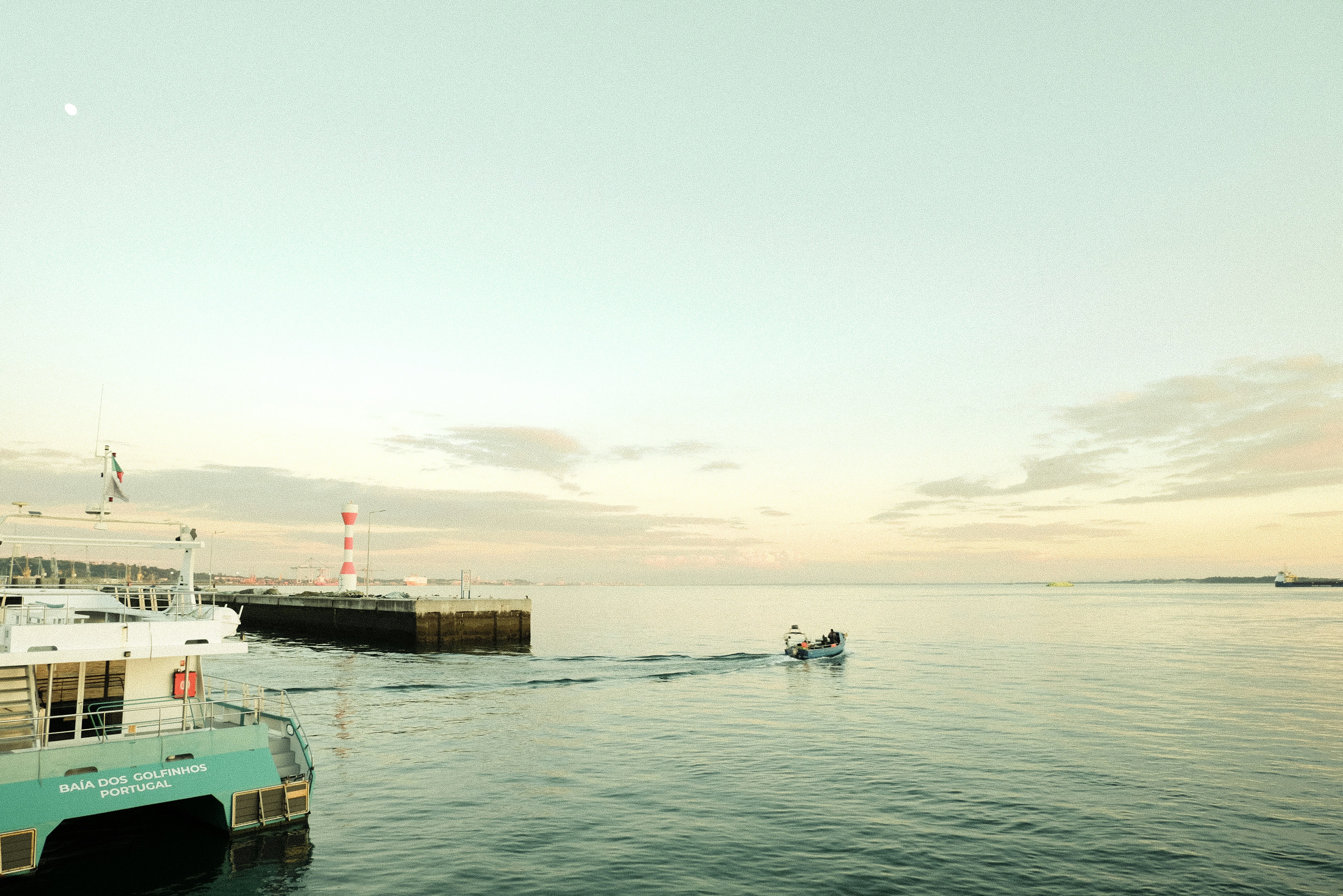 Photo by noelephantsflying