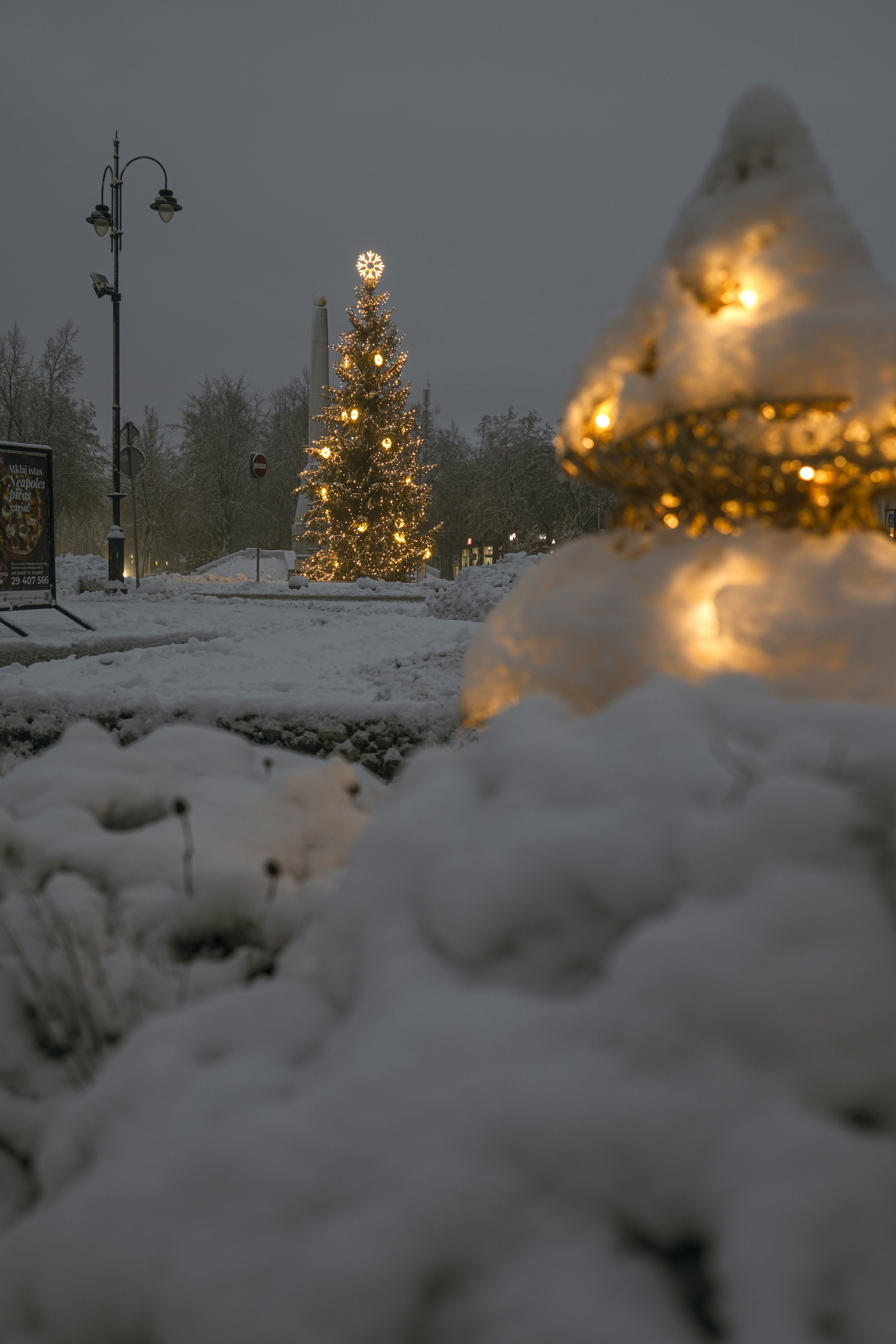 Cēsis – Final Summary