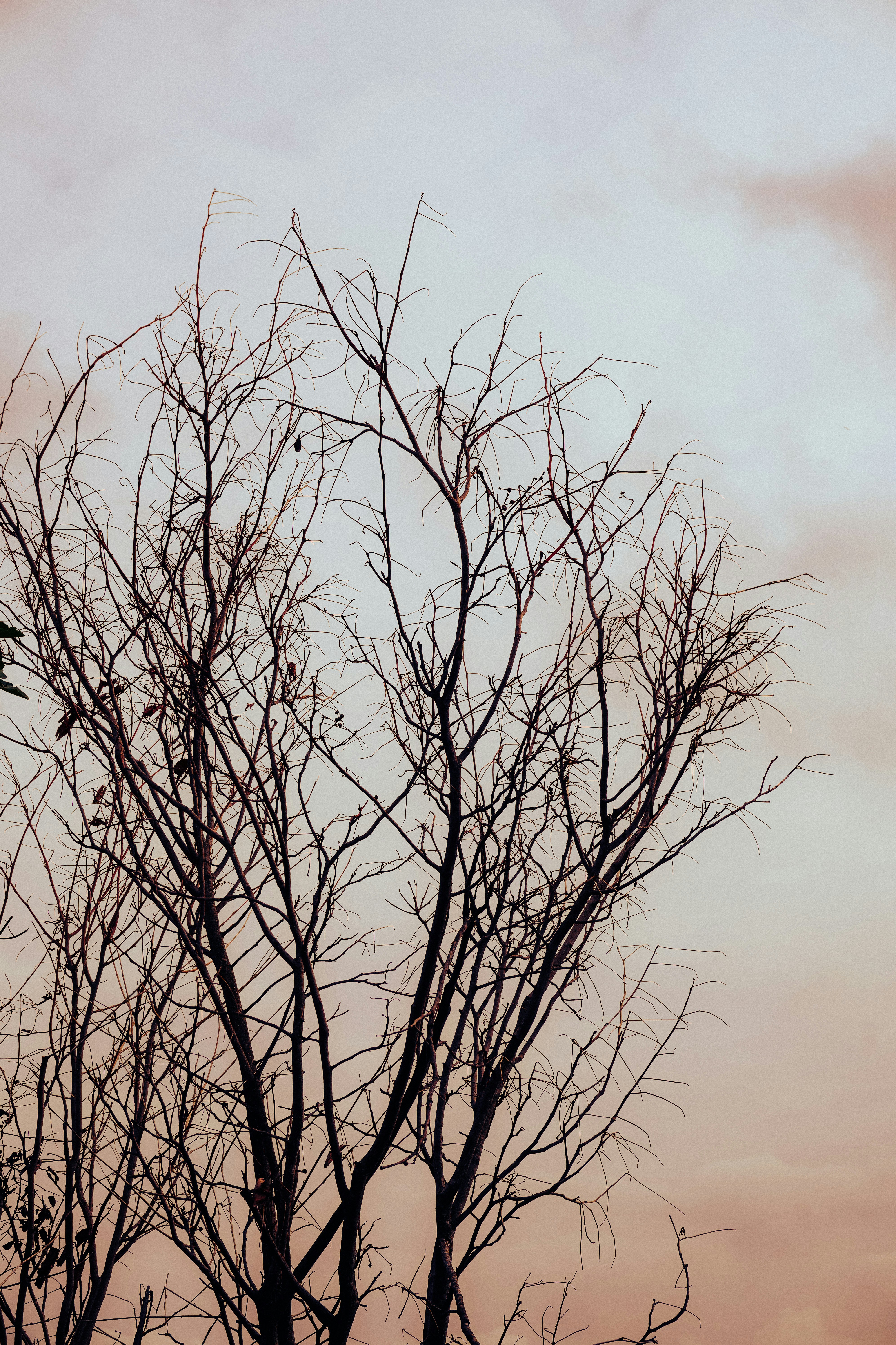 Photo by pparimita19