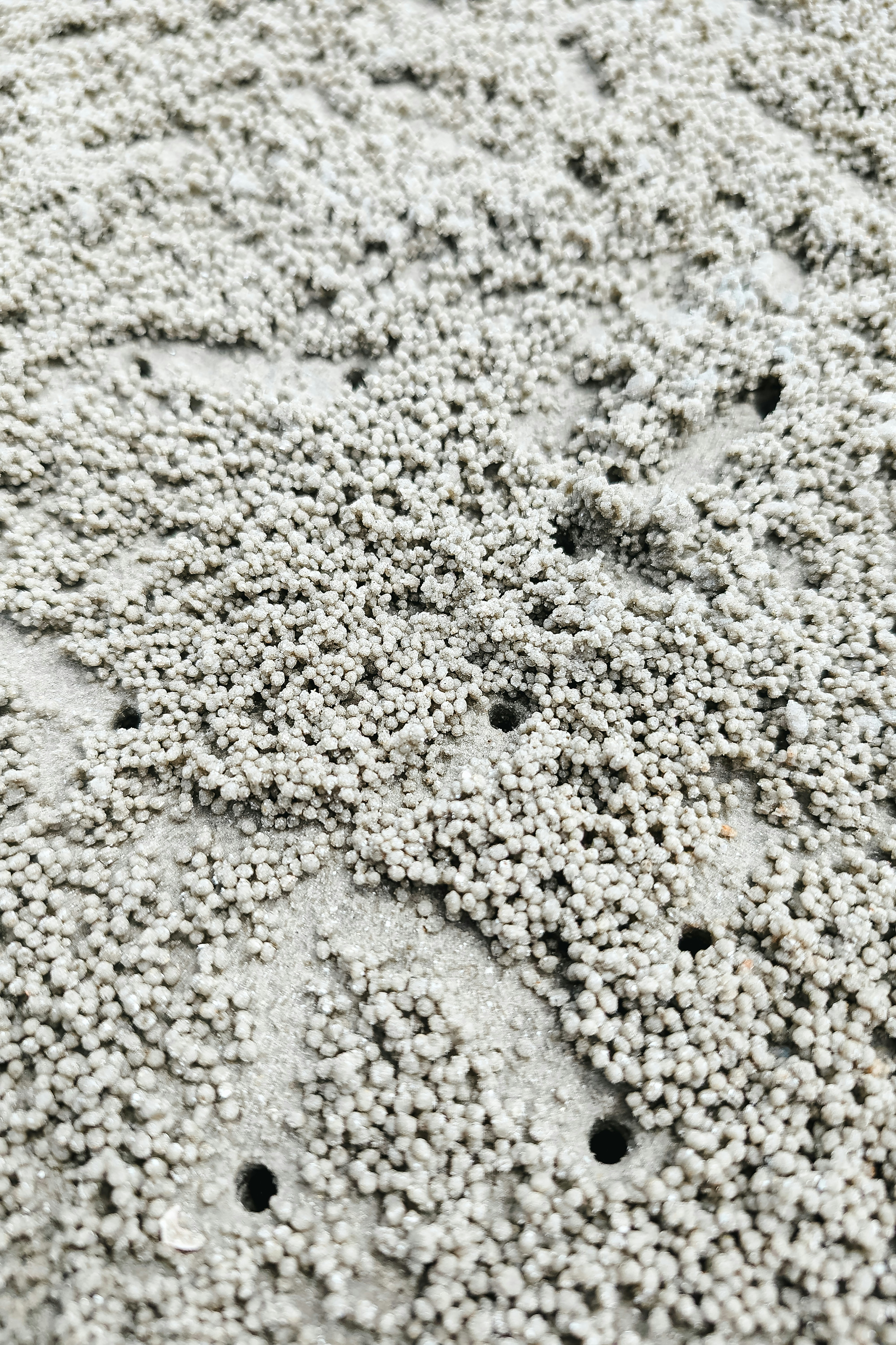 Photo by markuswinkler