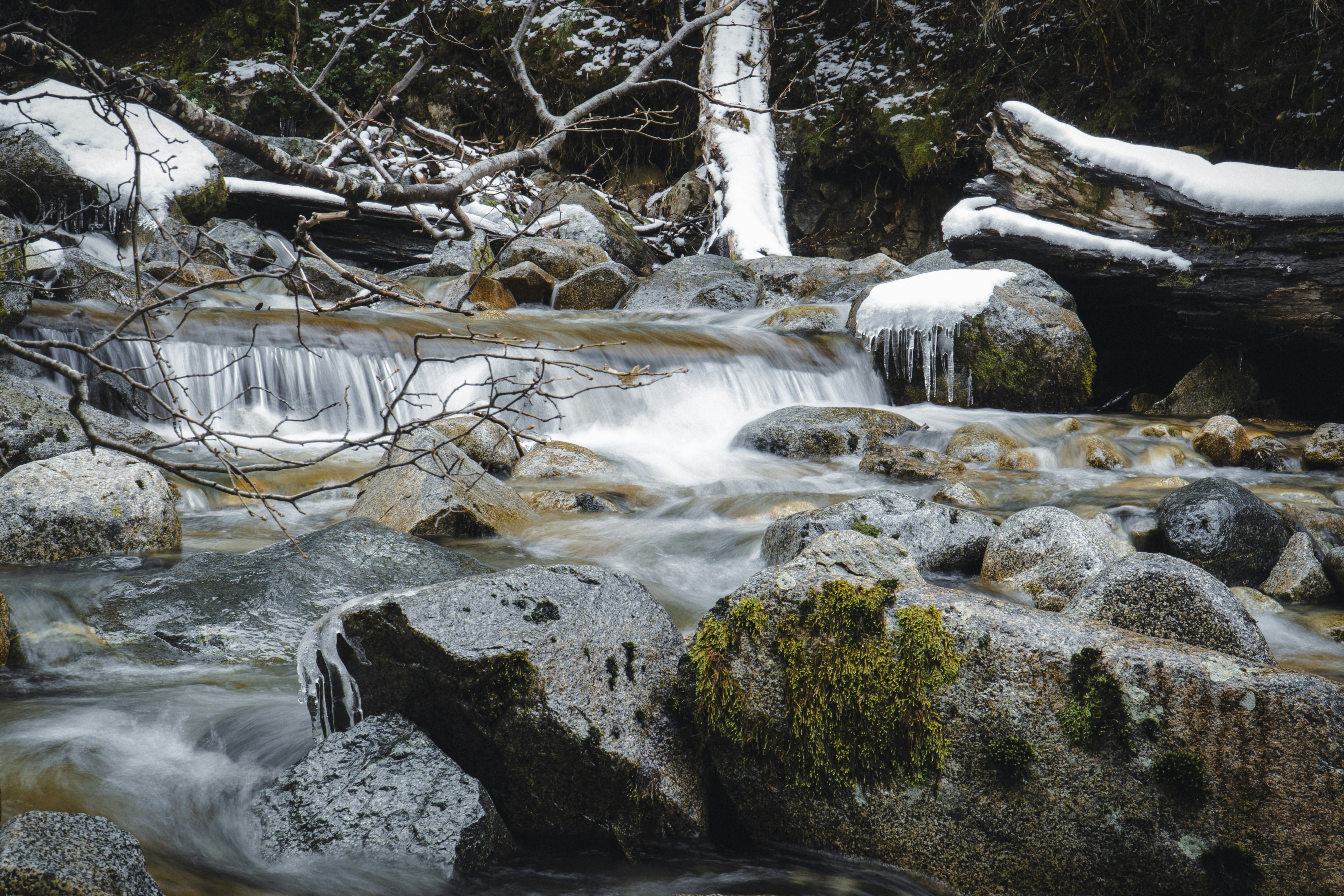 Photo by toshinmotion