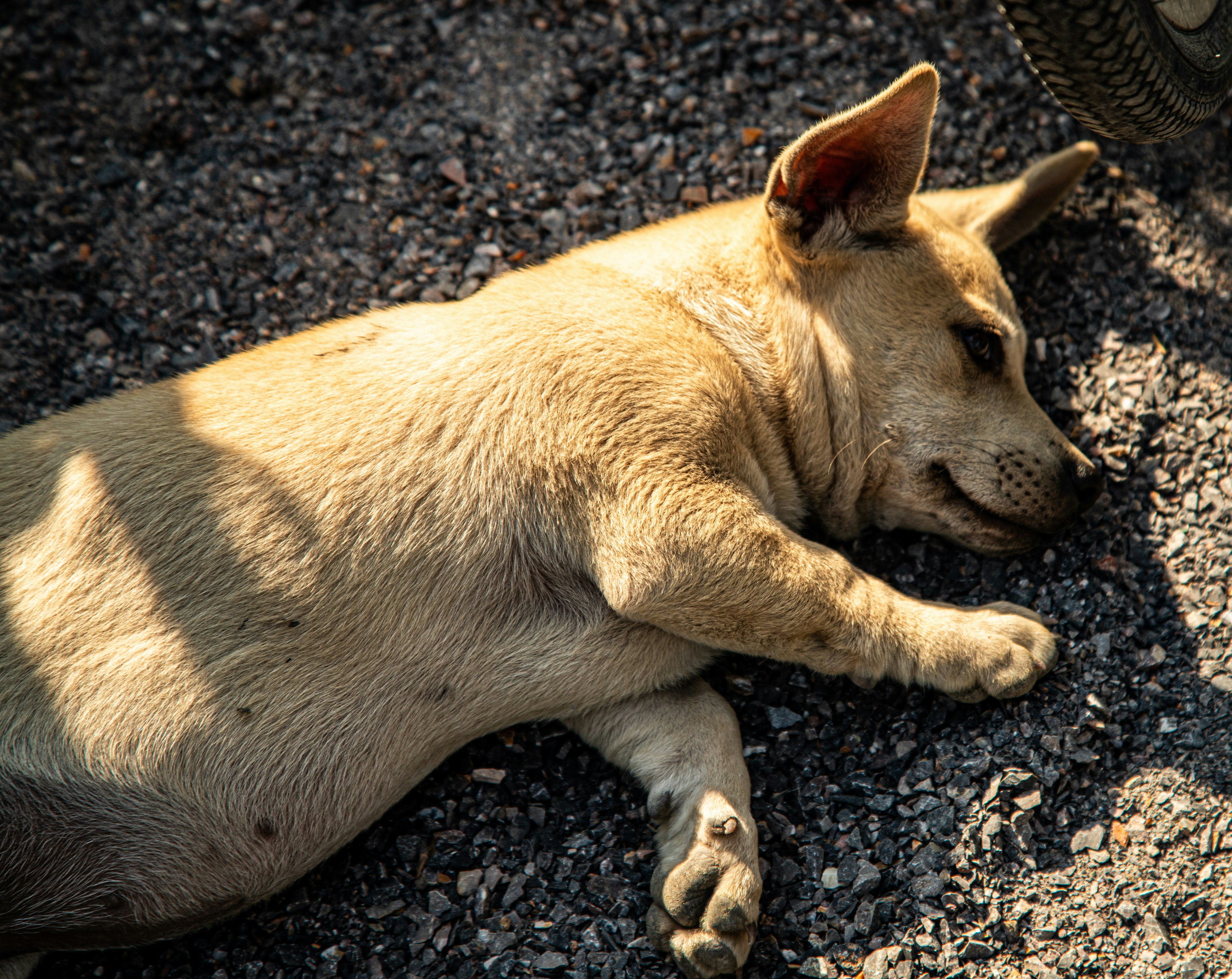 Photo by hdbernd