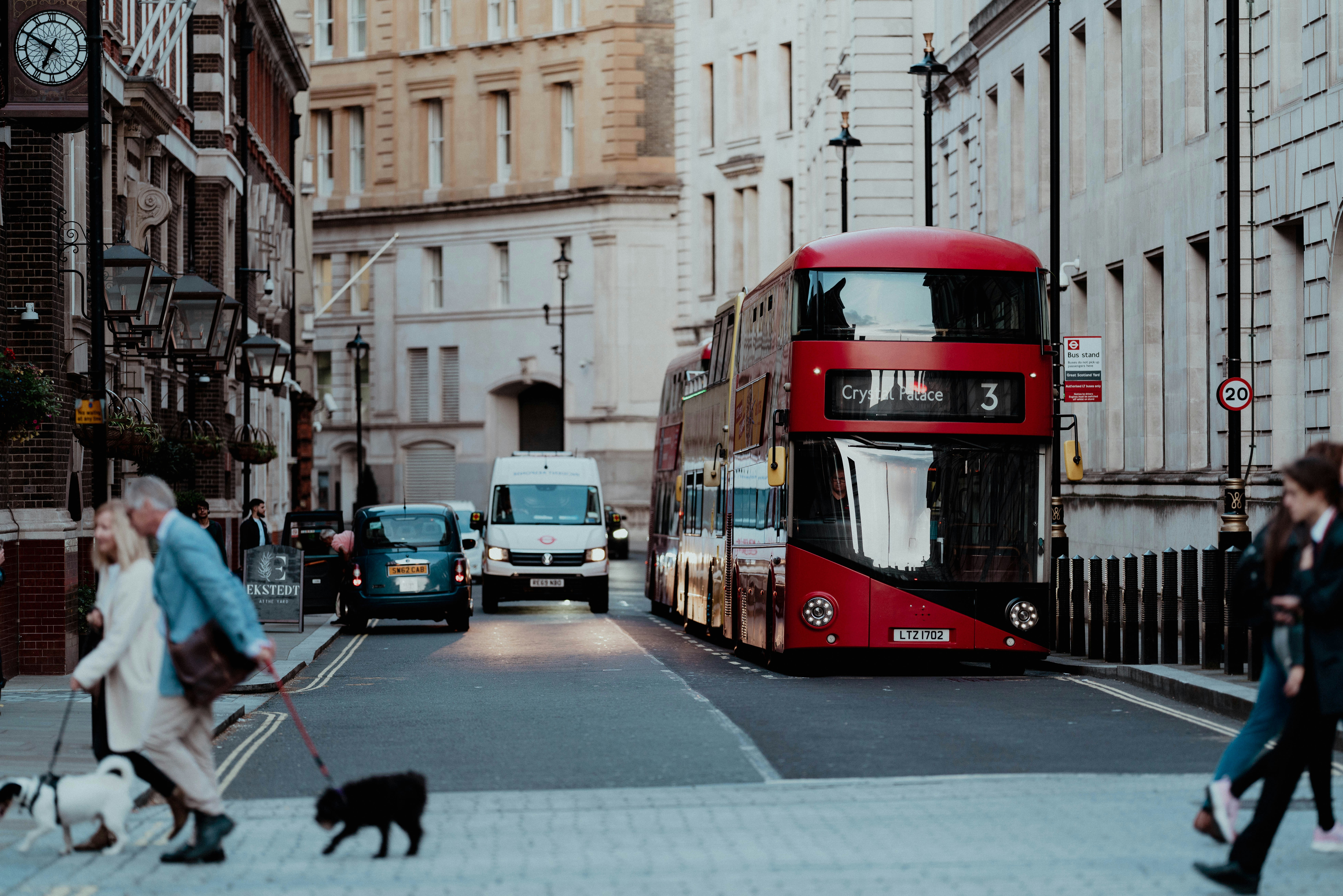 Your Paws-itive Guide: How to Travel to London with Your Dog!