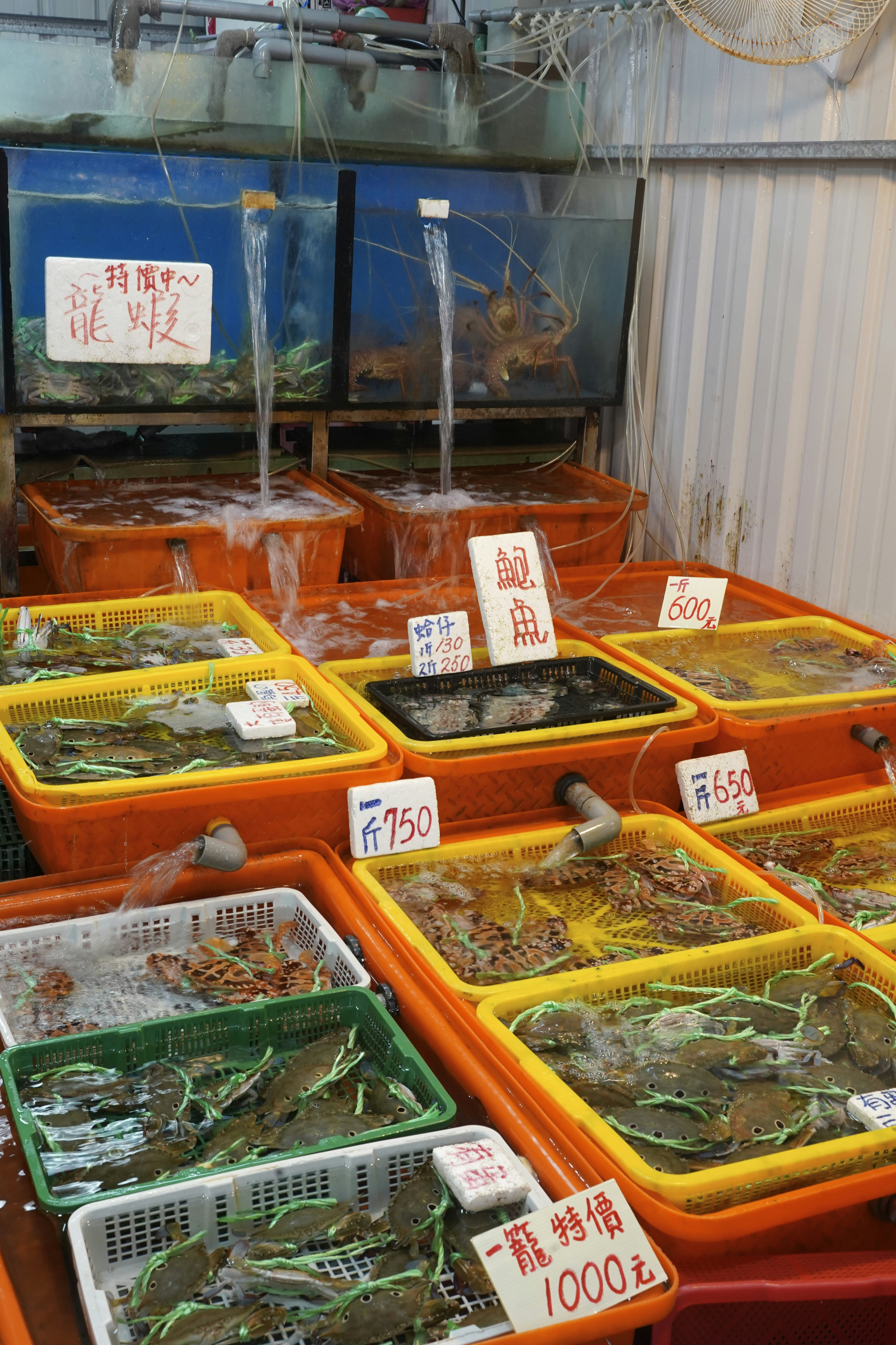 photo-1734356972316-af379c4ef10f?ixid=M3wxMjA3fDB8MXxzZWFyY2h8MTh8fCVFRCU5NSVCNCVFRCU4RiVBQyVFQyVCRiVBMCUyMCVFQSVCMCU4MCVFQSVCMiVBOXxlbnwwfHx8fDE3NjI5NTgyMDl8MA\u0026ixlib=rb-4.1.0