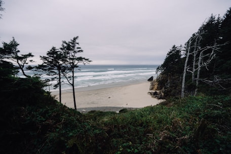 A view of a beach from a cliff