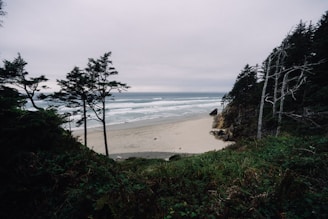 A view of a beach from a cliff