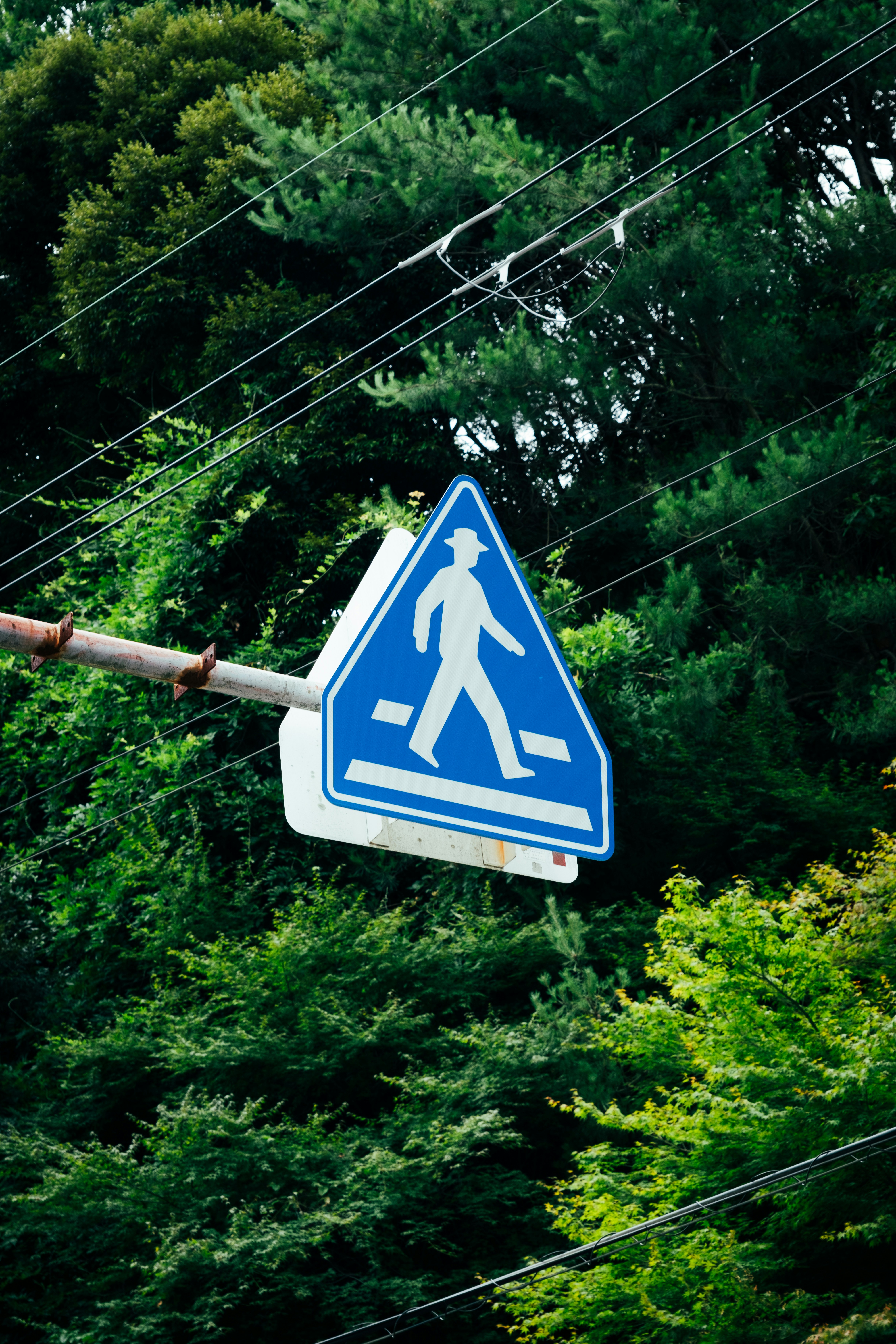 Photo by fabhimantra