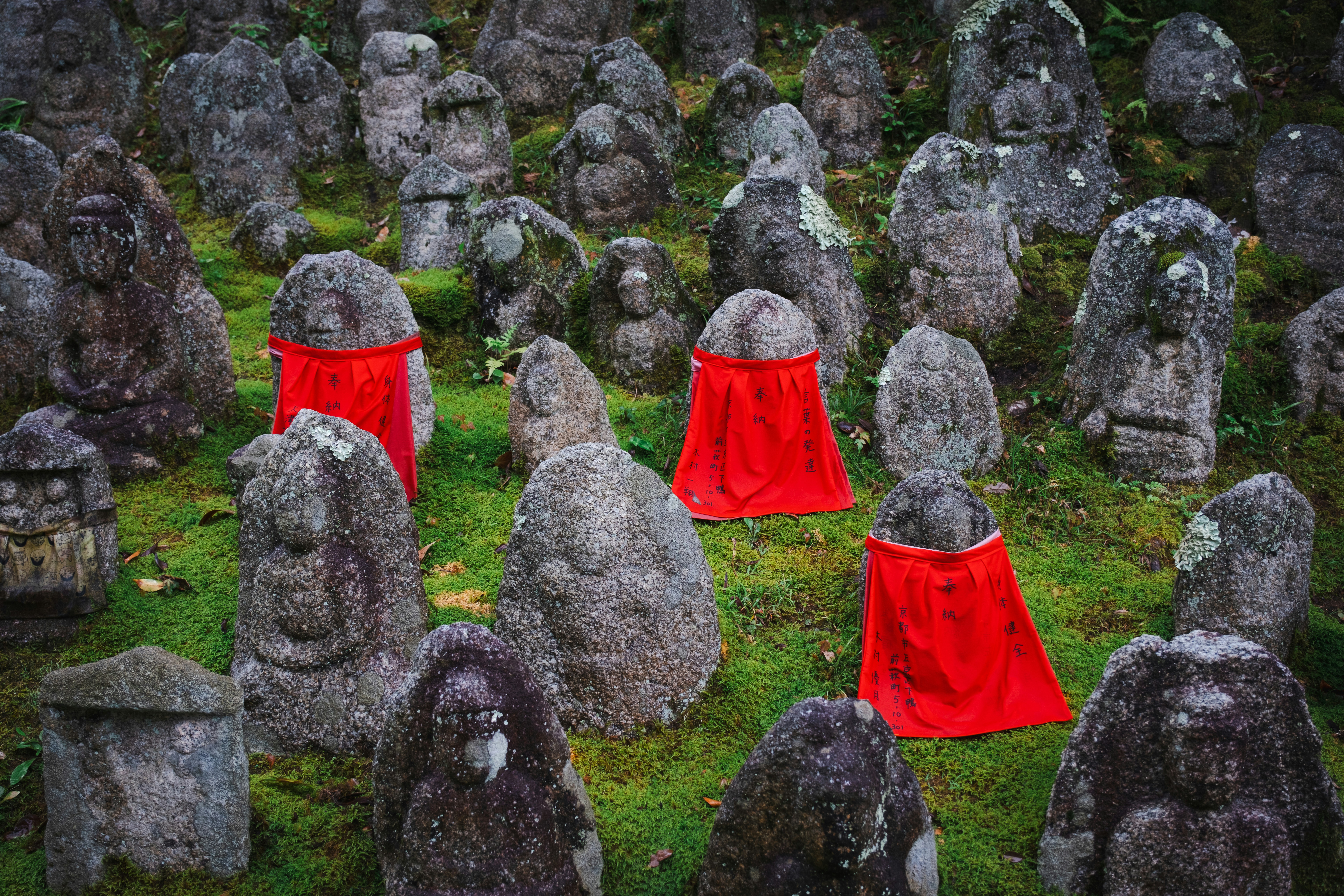 Photo by fabhimantra