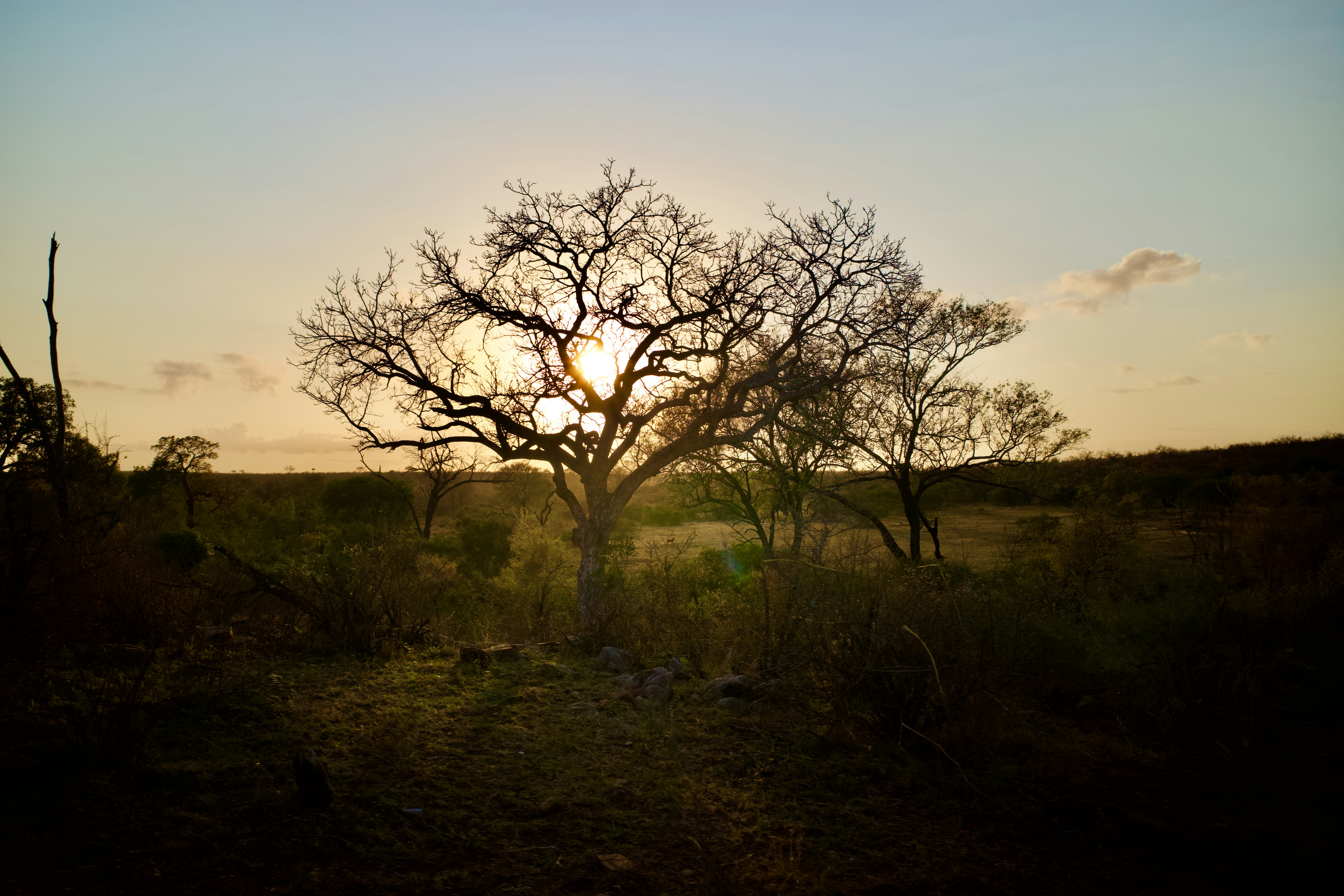 Photo by heinz_putel_18